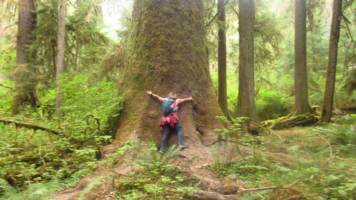 media_HLYCKPRJSAWQE84J