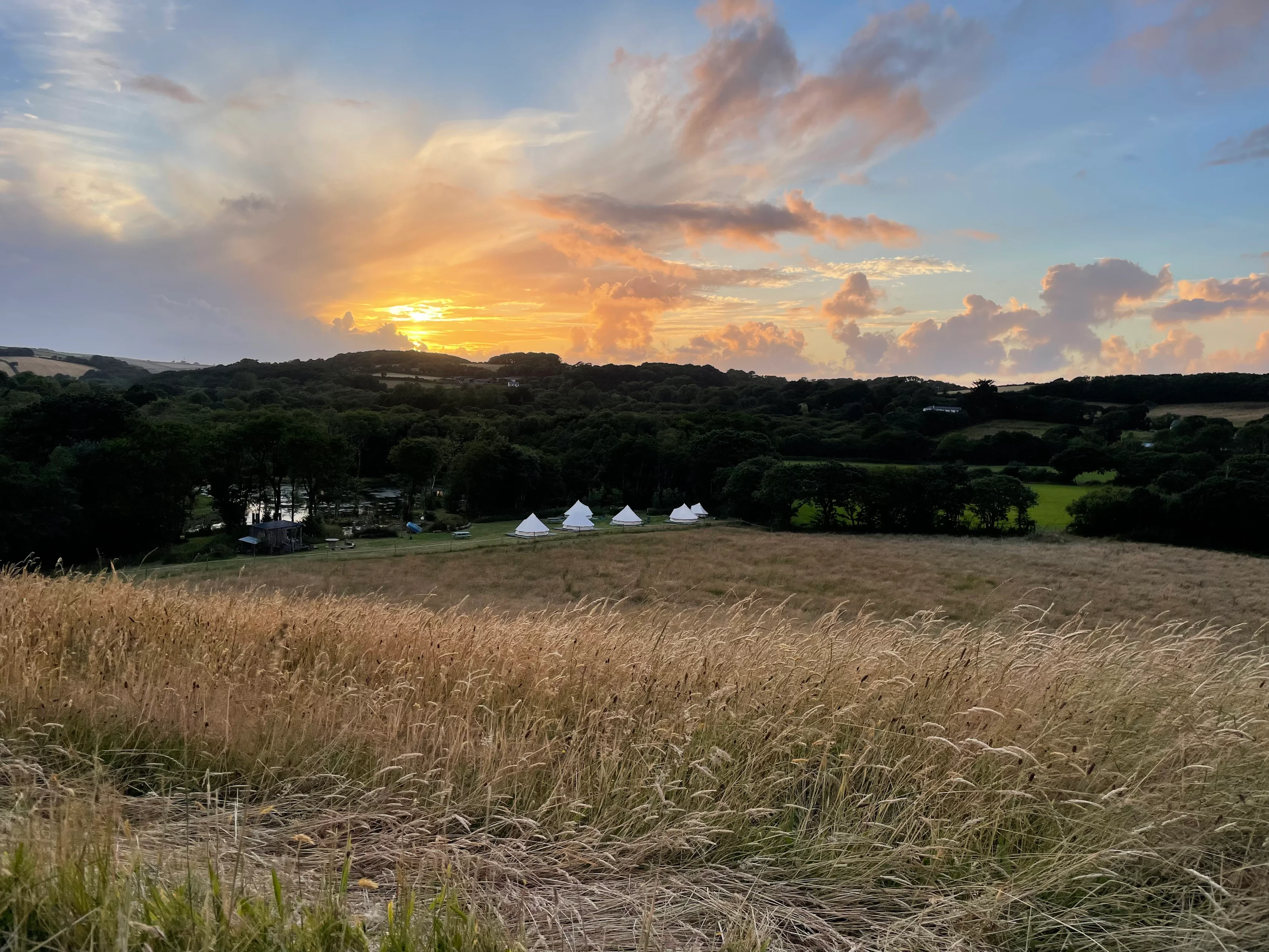 media_HY5JWFYKX7RENSMK