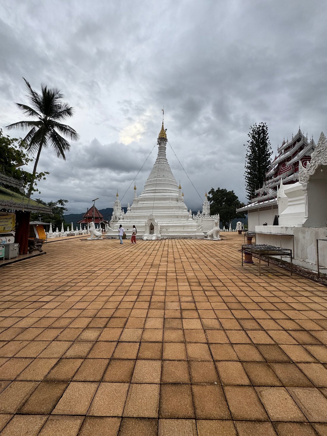 media_KSM6HVKNLHT5DVZY