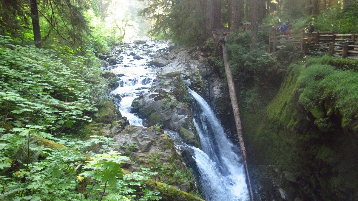 media_LGG49J9VJW29L6ZQ