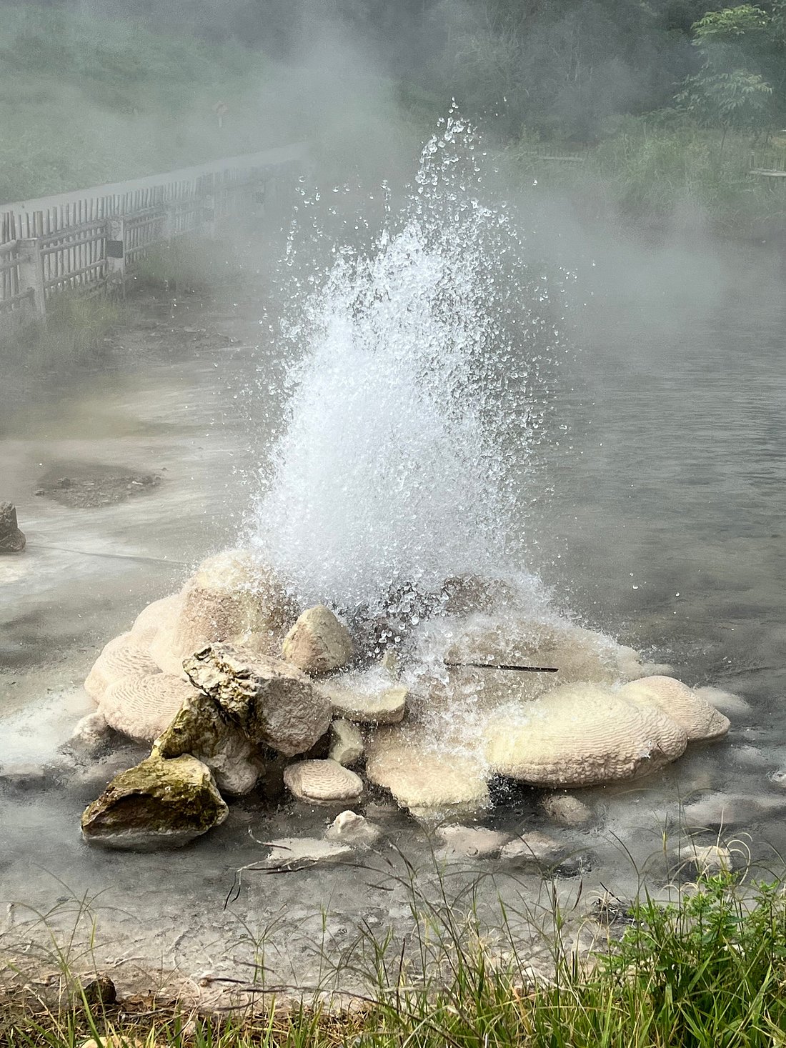 media_QJEGJPRY7K5TWYBA