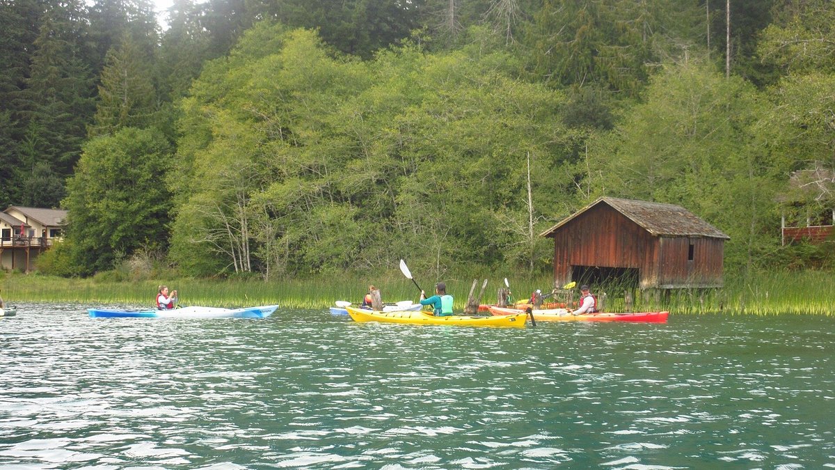 media_RE7W4TWVH3G7LSGF