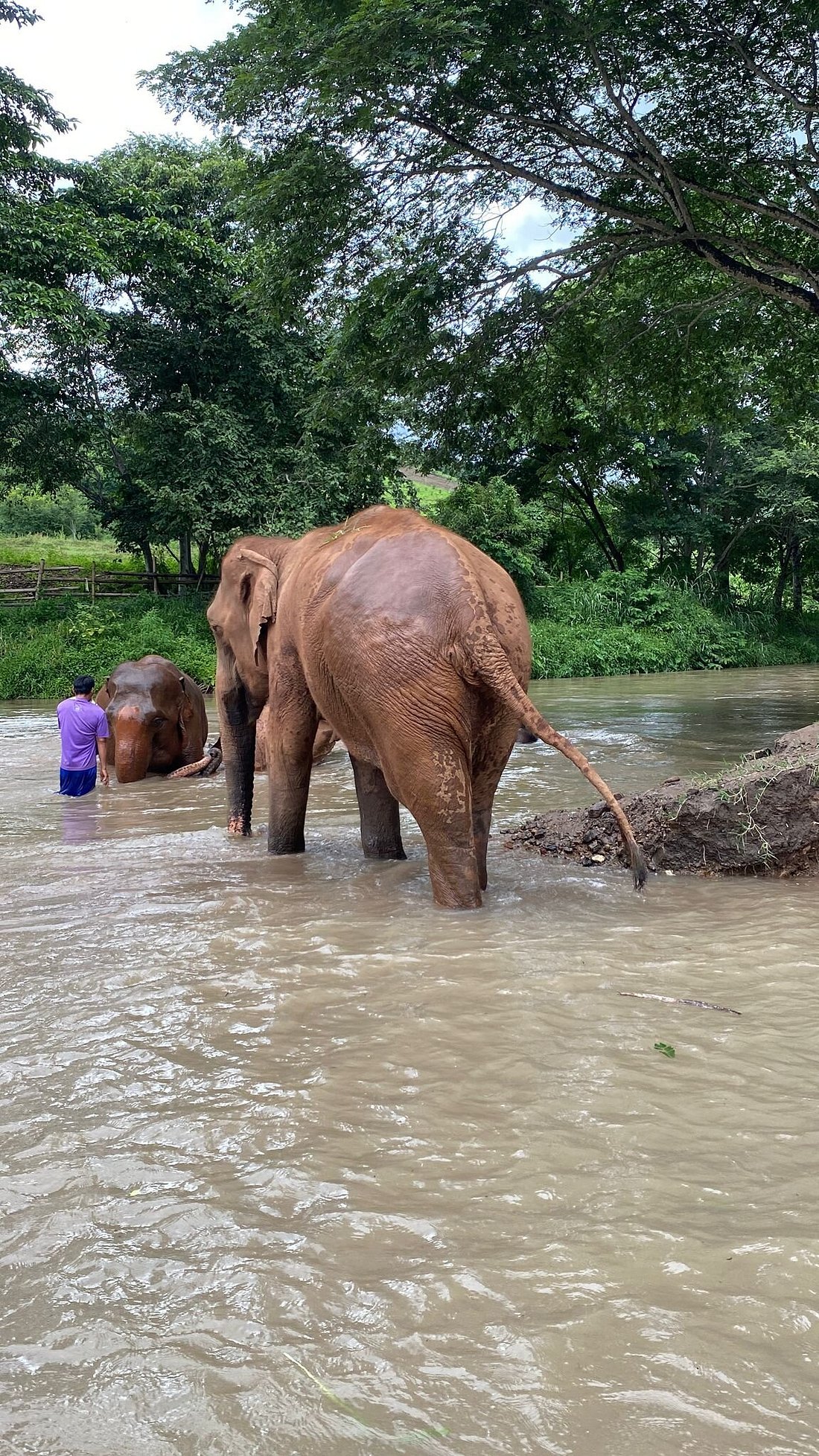 media_SZJSEAF9Y6H73PD6