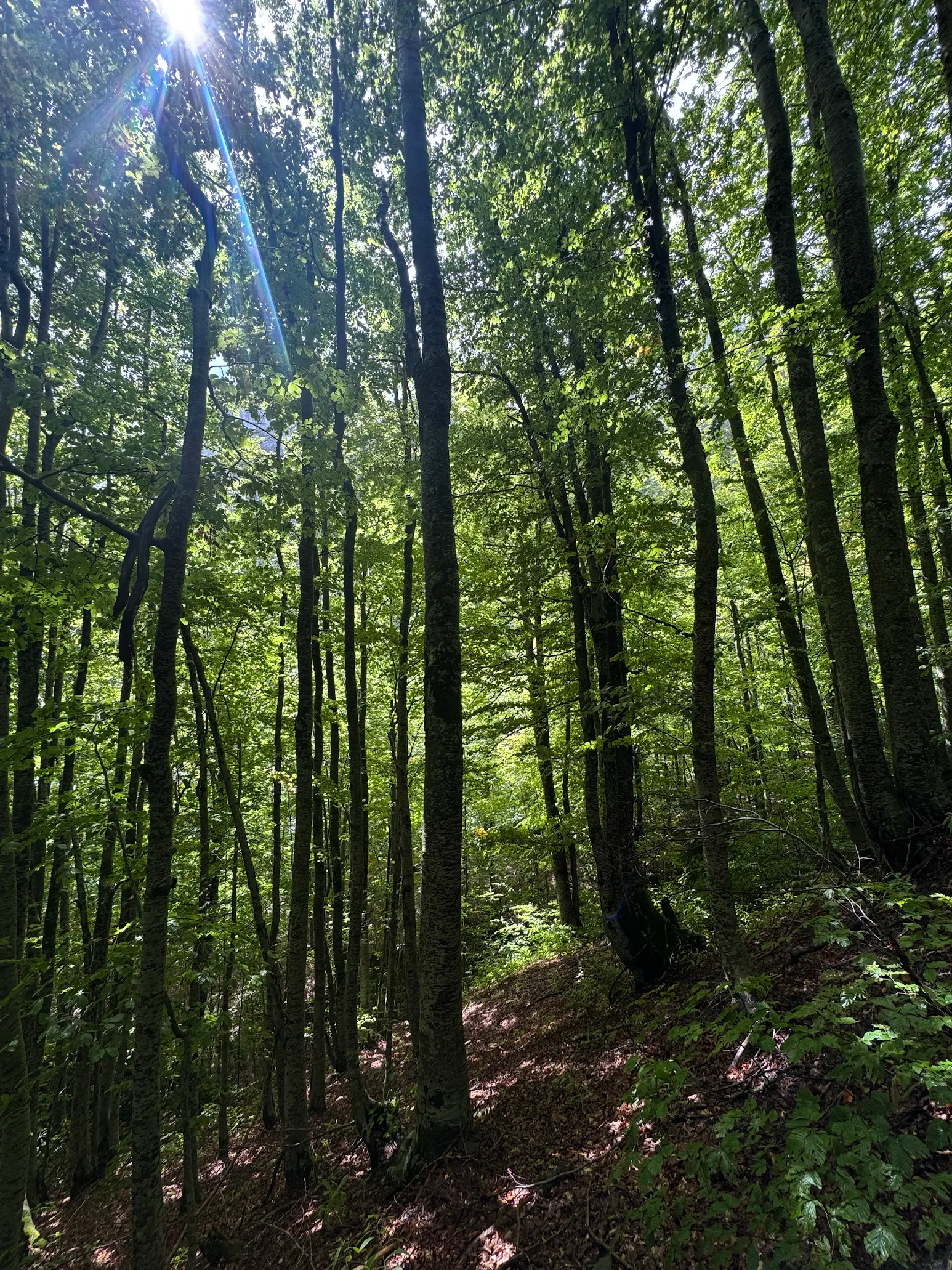 media_YDQSTC7EGFWDZ22X