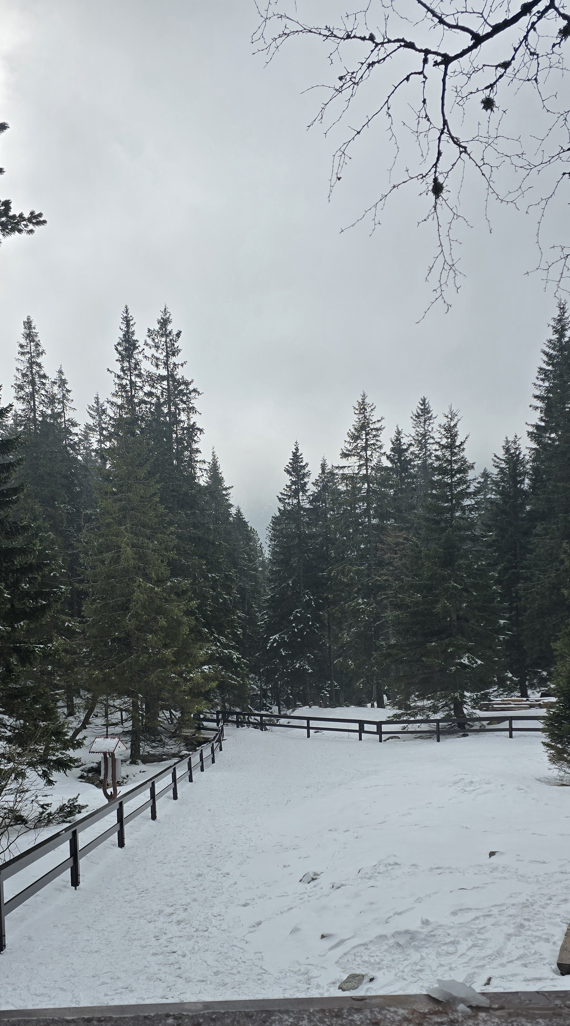 media_4ZKQKQVMGDJFUY8G