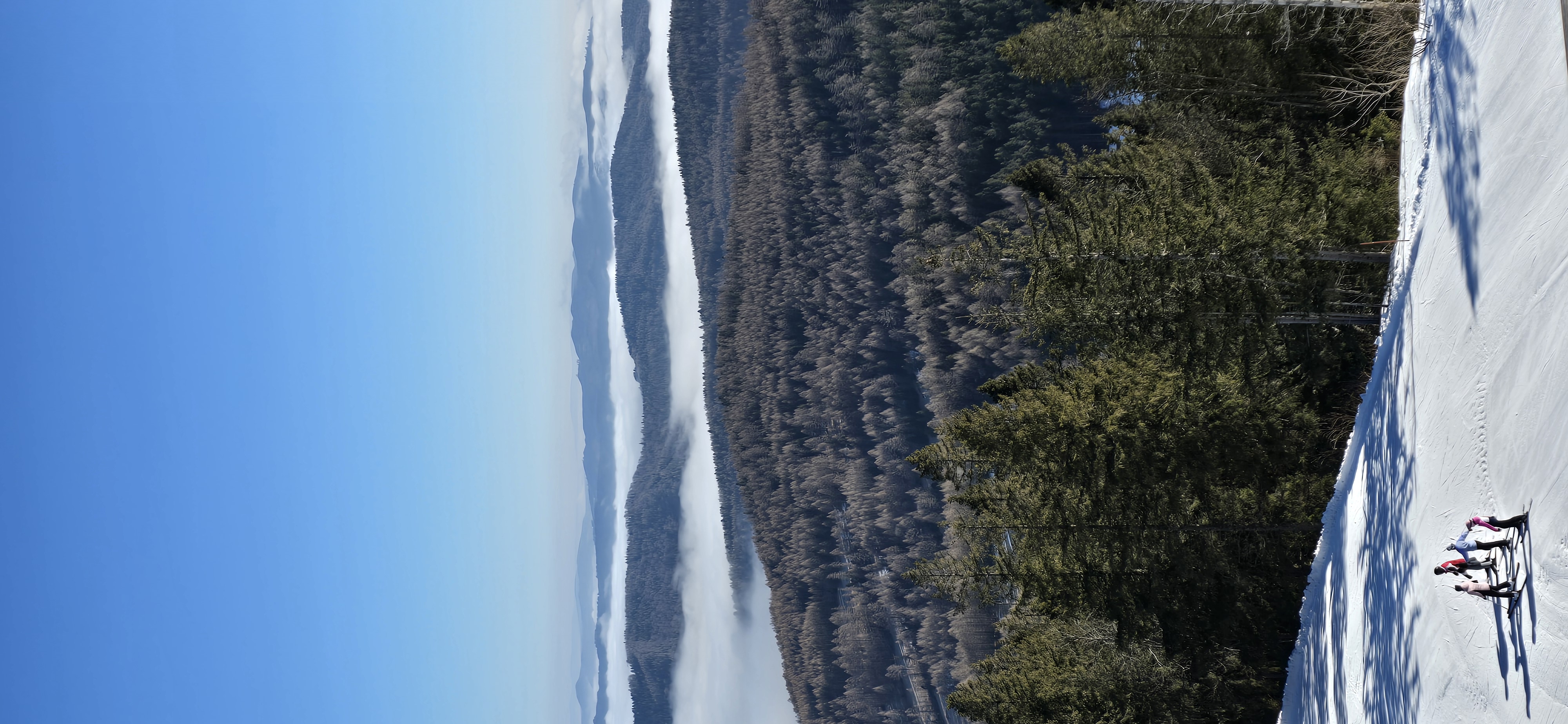 media_8TA5M59NPX9Q8J89