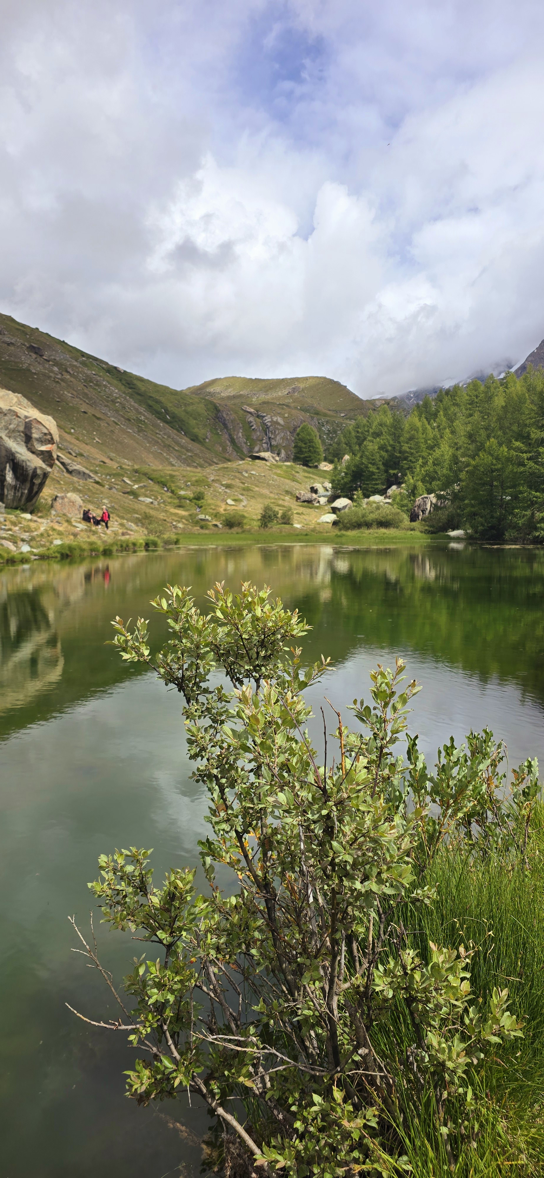 media_AFB7CCRUAL4D2BV6