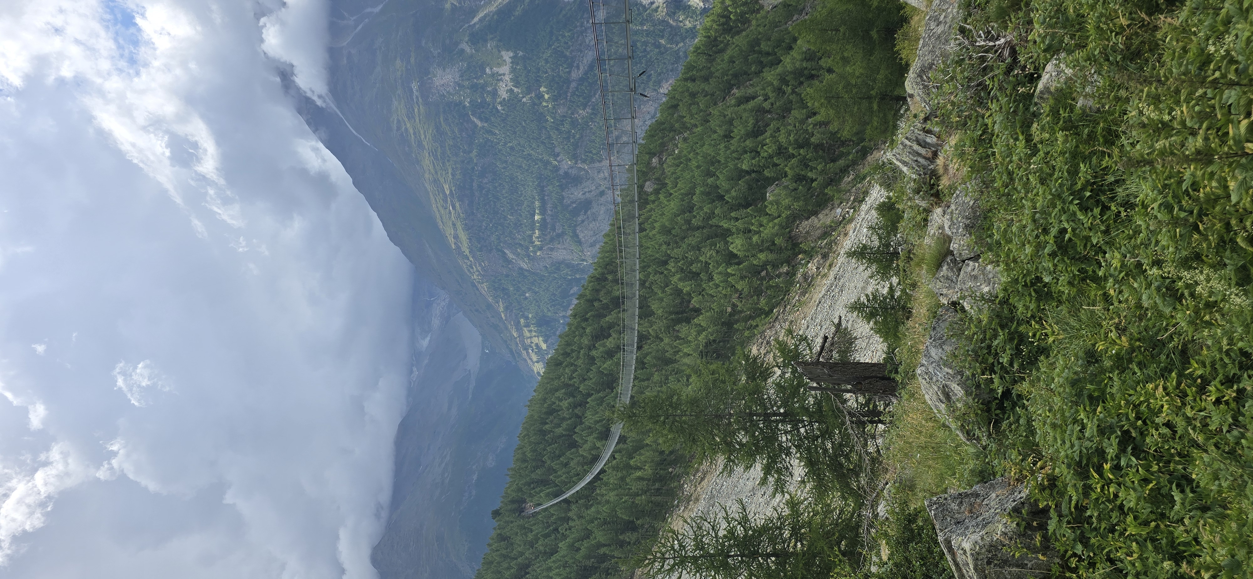 media_DTVNDAA66J29AX4E