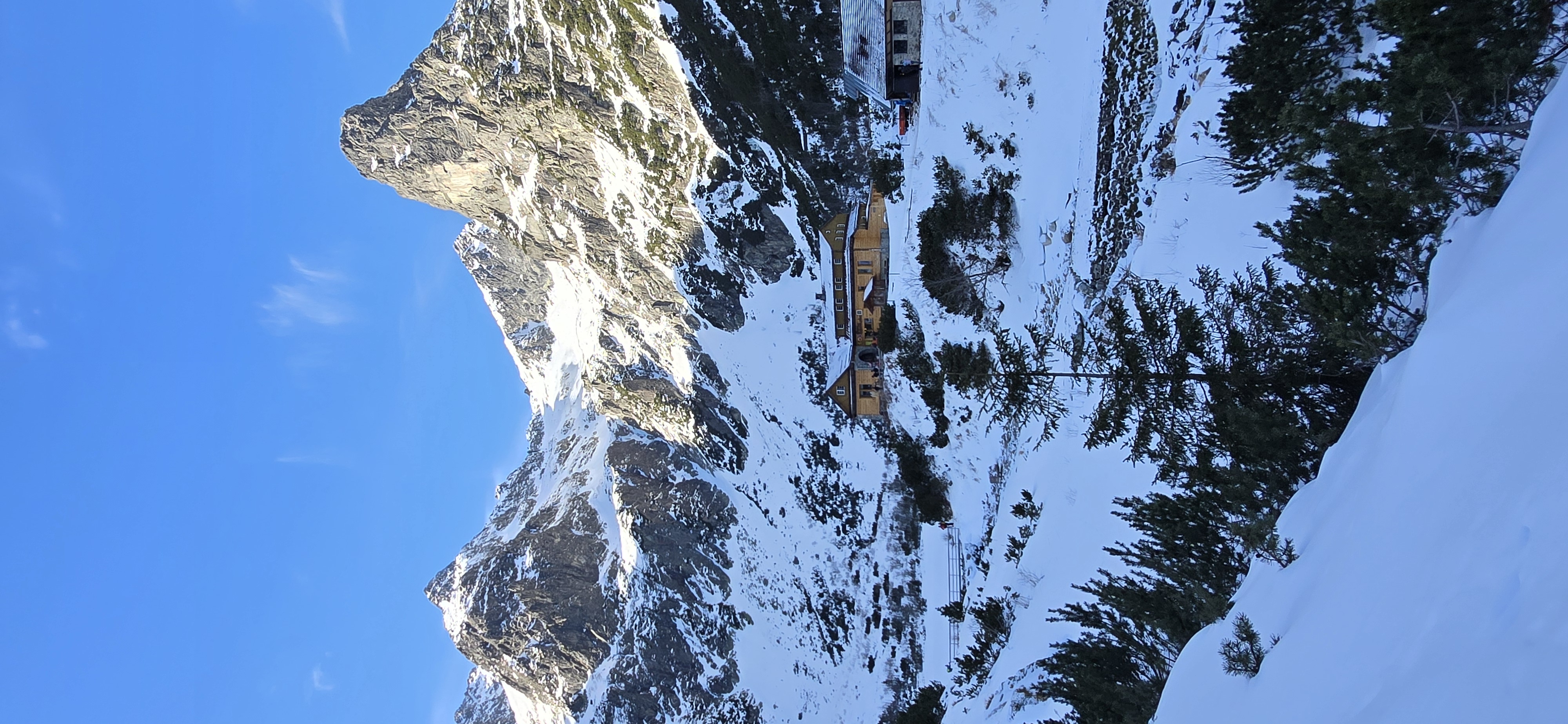 media_TJFTGYTWYWVEVJUG