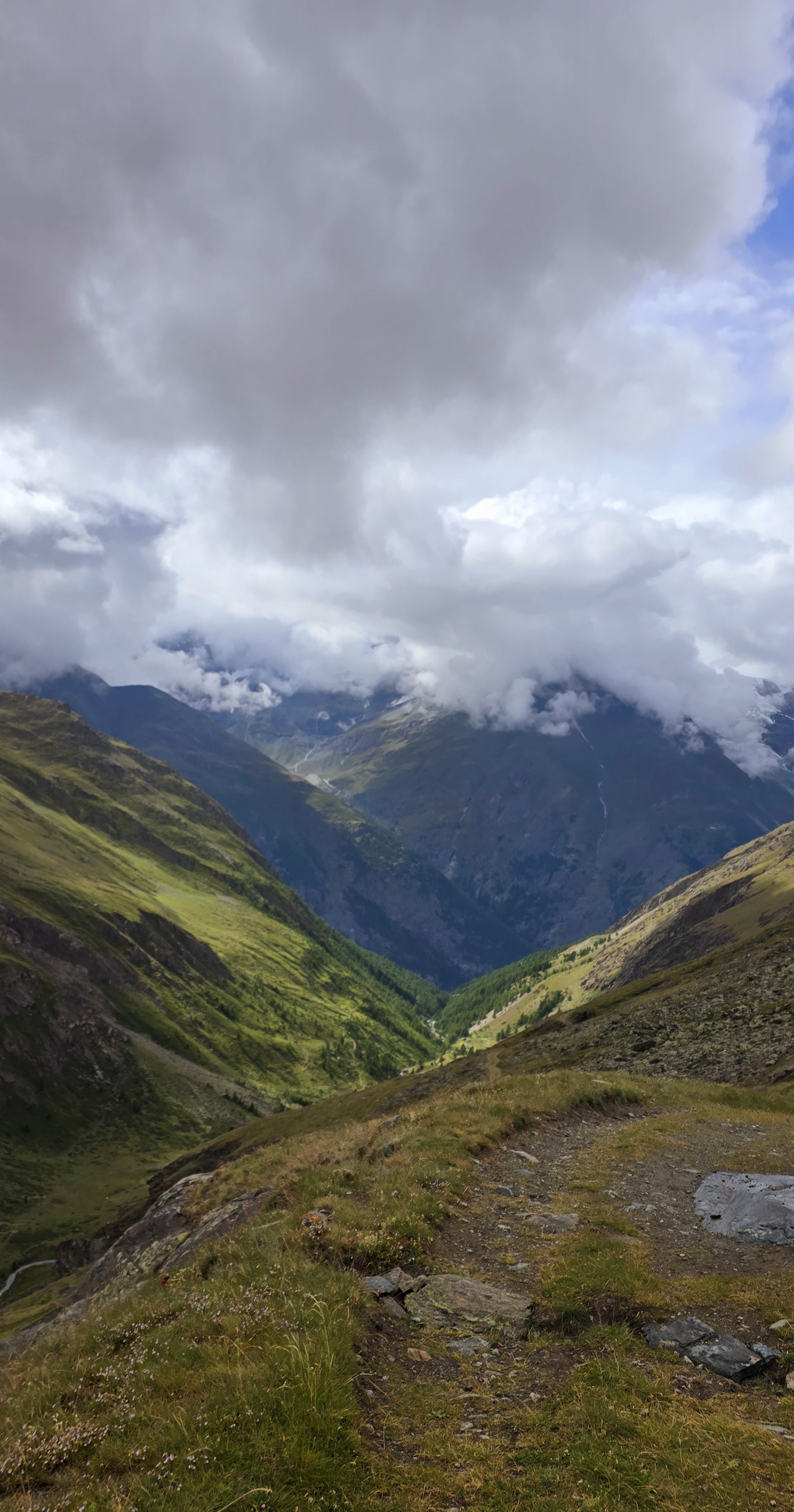 media_WJHBZBCKZHSJSYAW