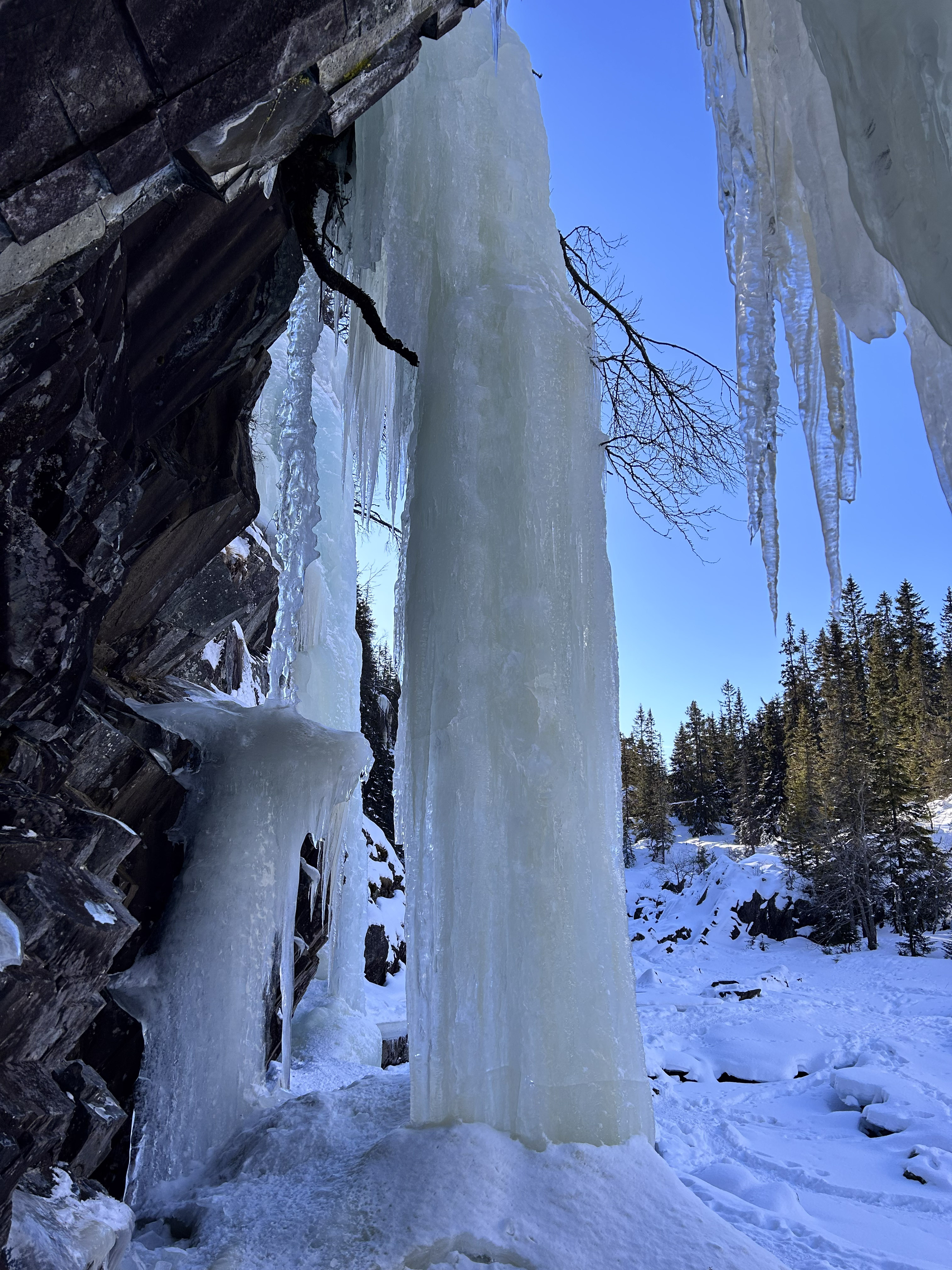 media_MVJXGW3L2TK29V2N