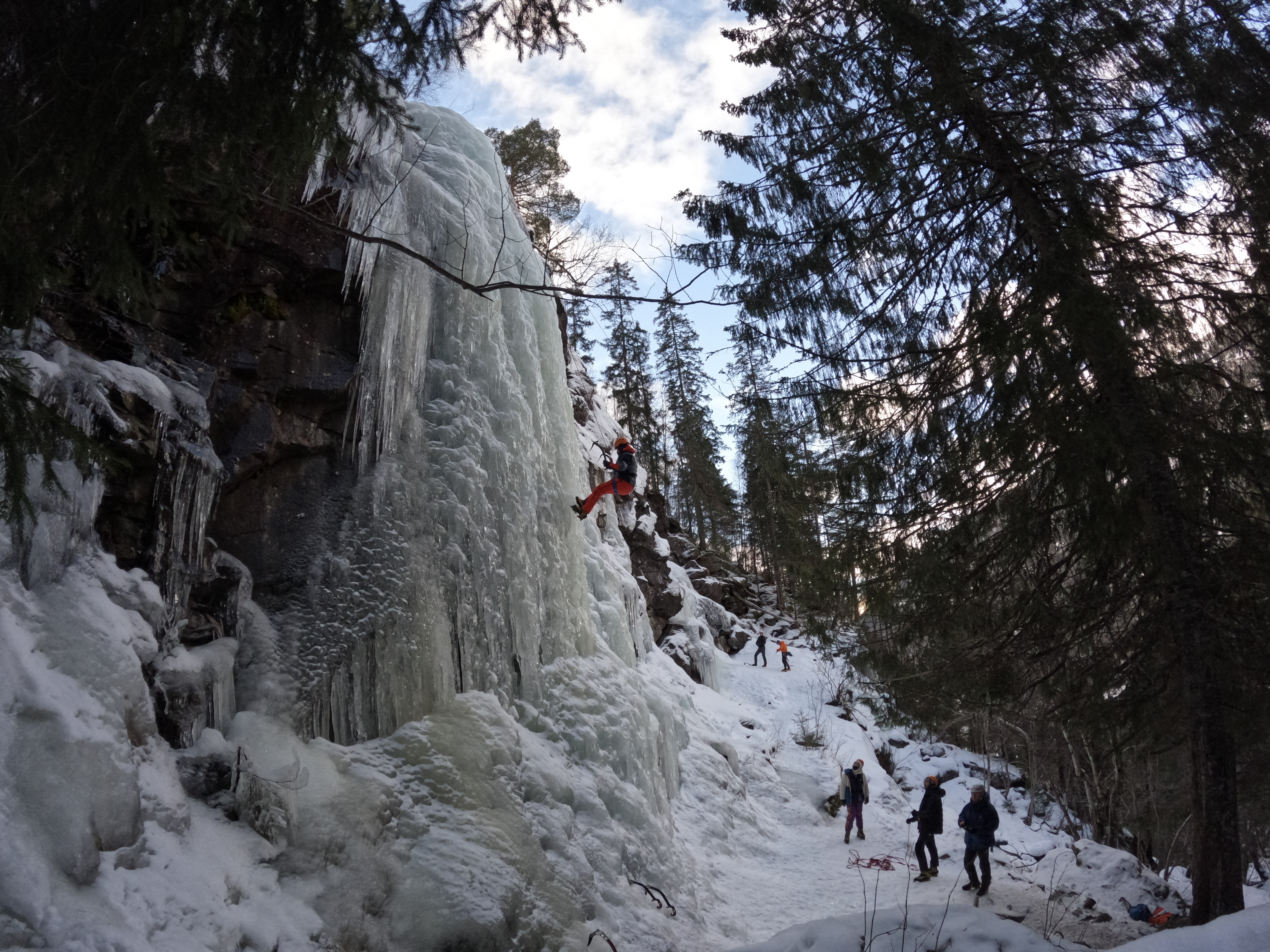 media_P6WTXHJBTF754DJV