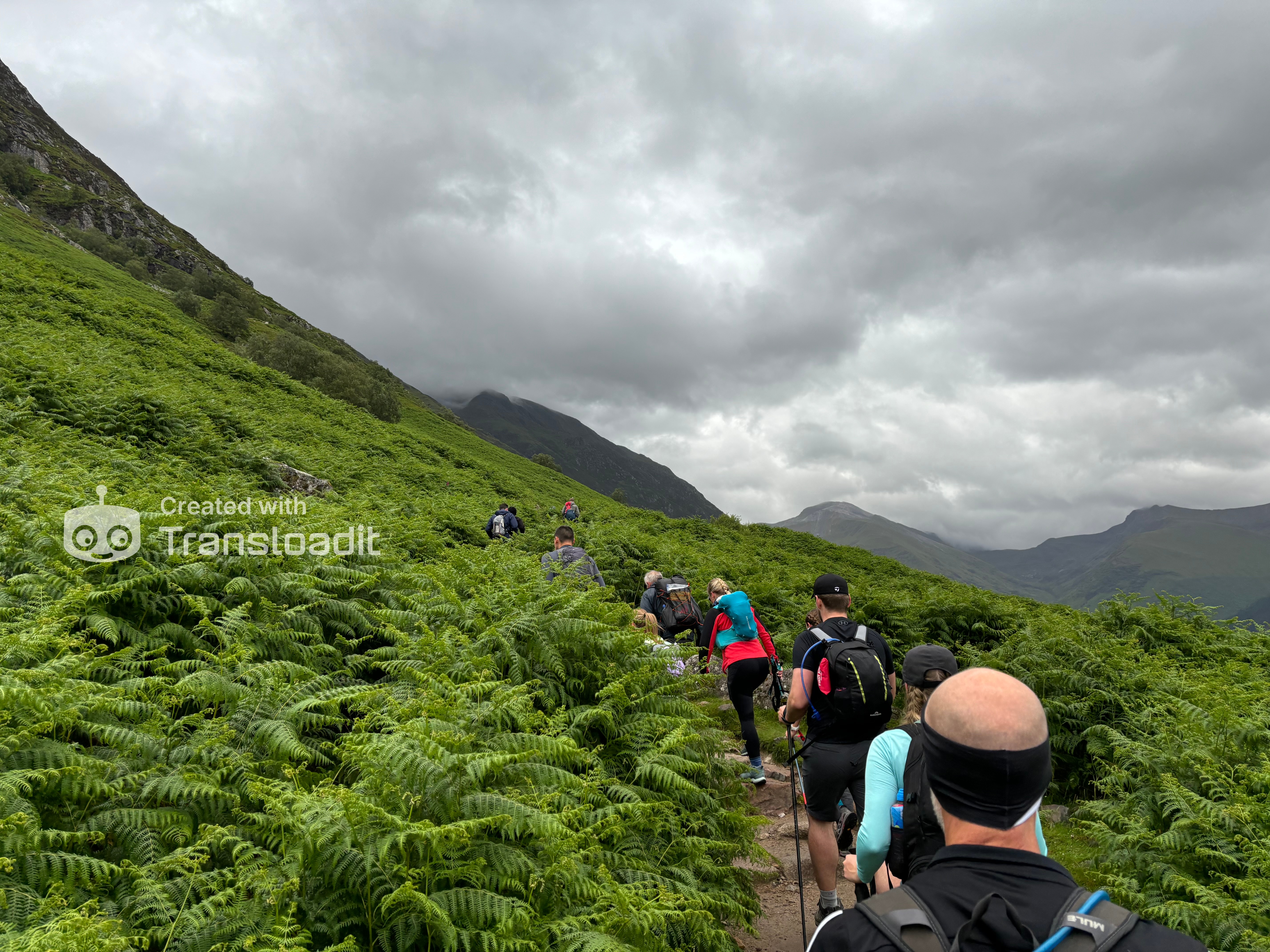 media_EFWF3CEEDD3V3EWQ