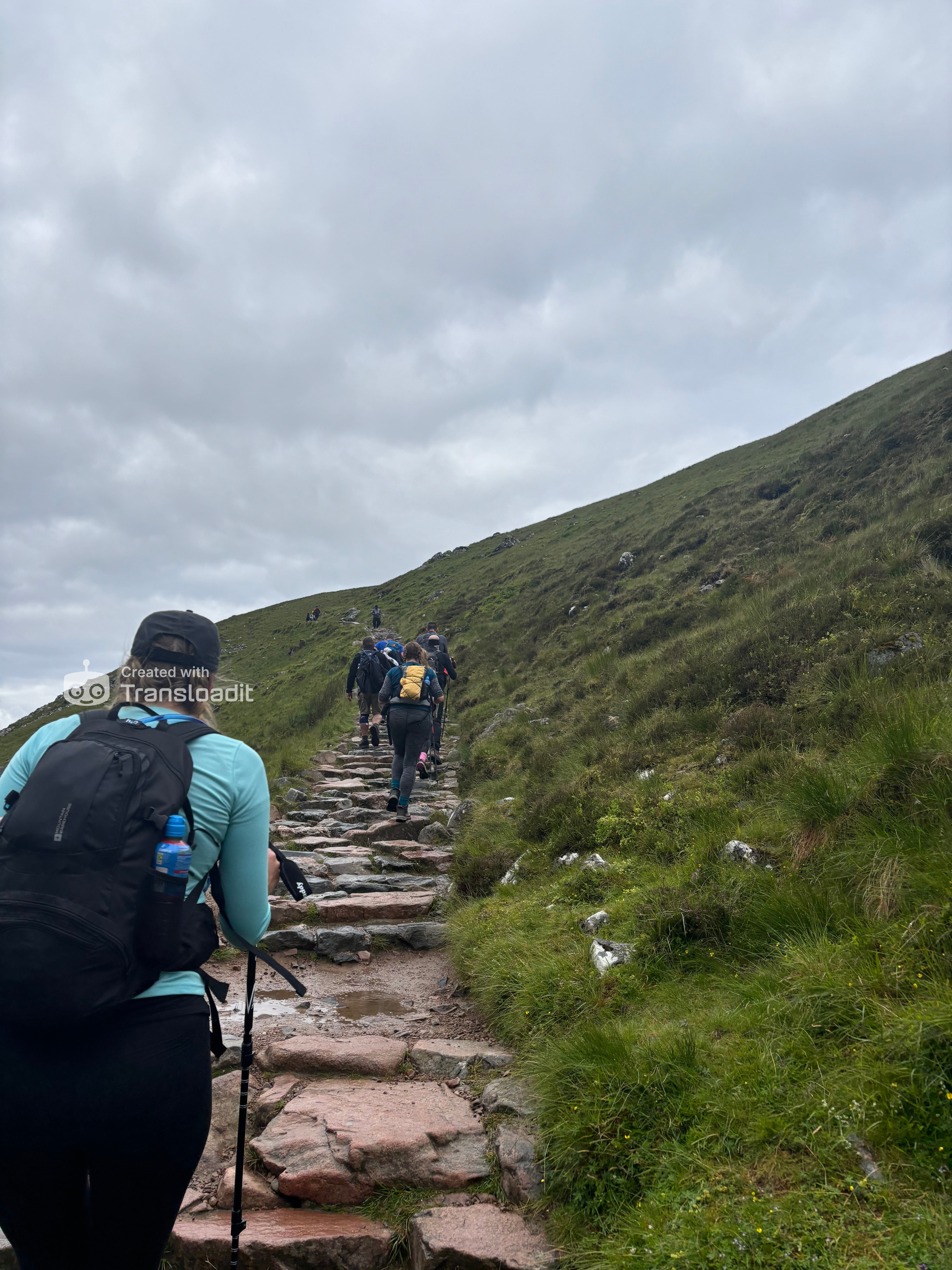 media_T3J42P4LH6RFJVU9