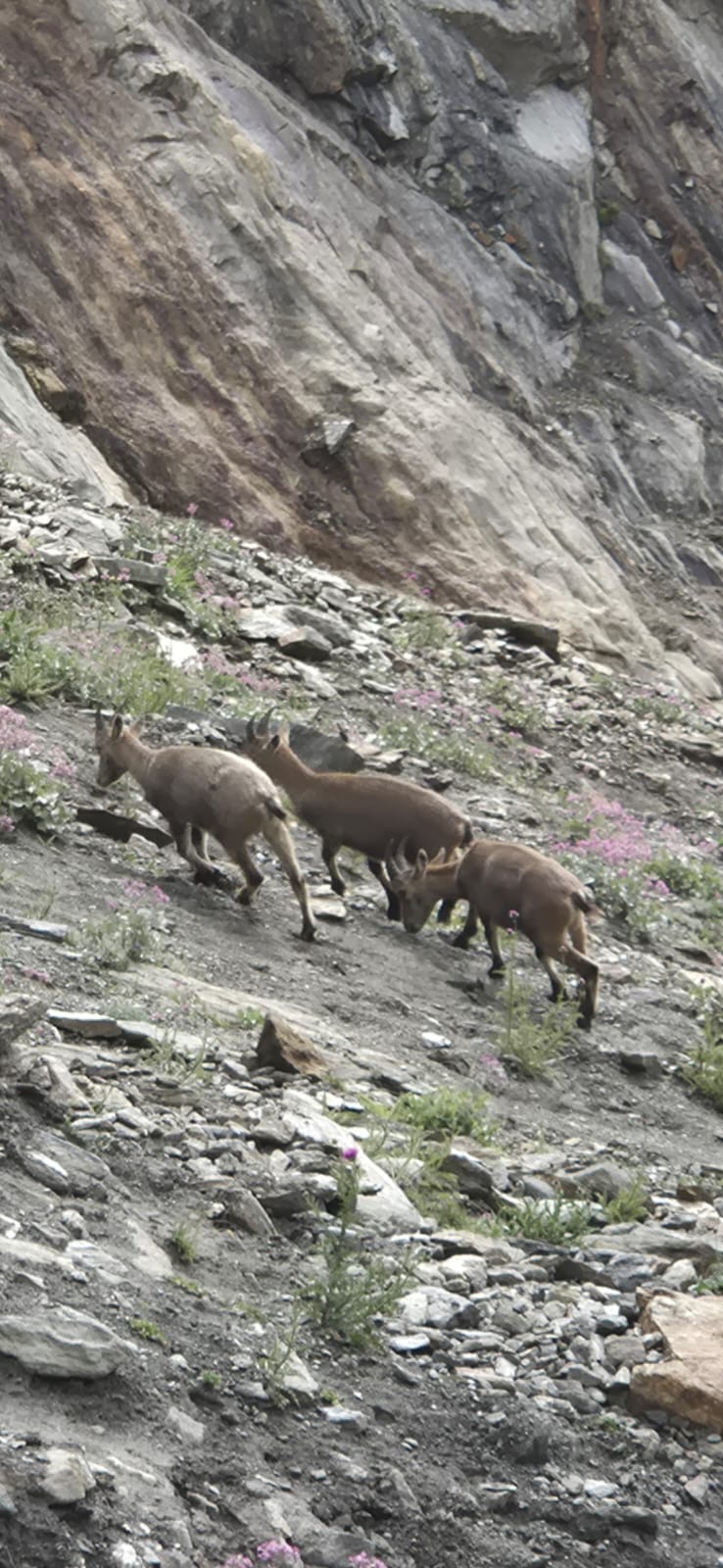 media_LNQ2LQQFLQJ4NGK3