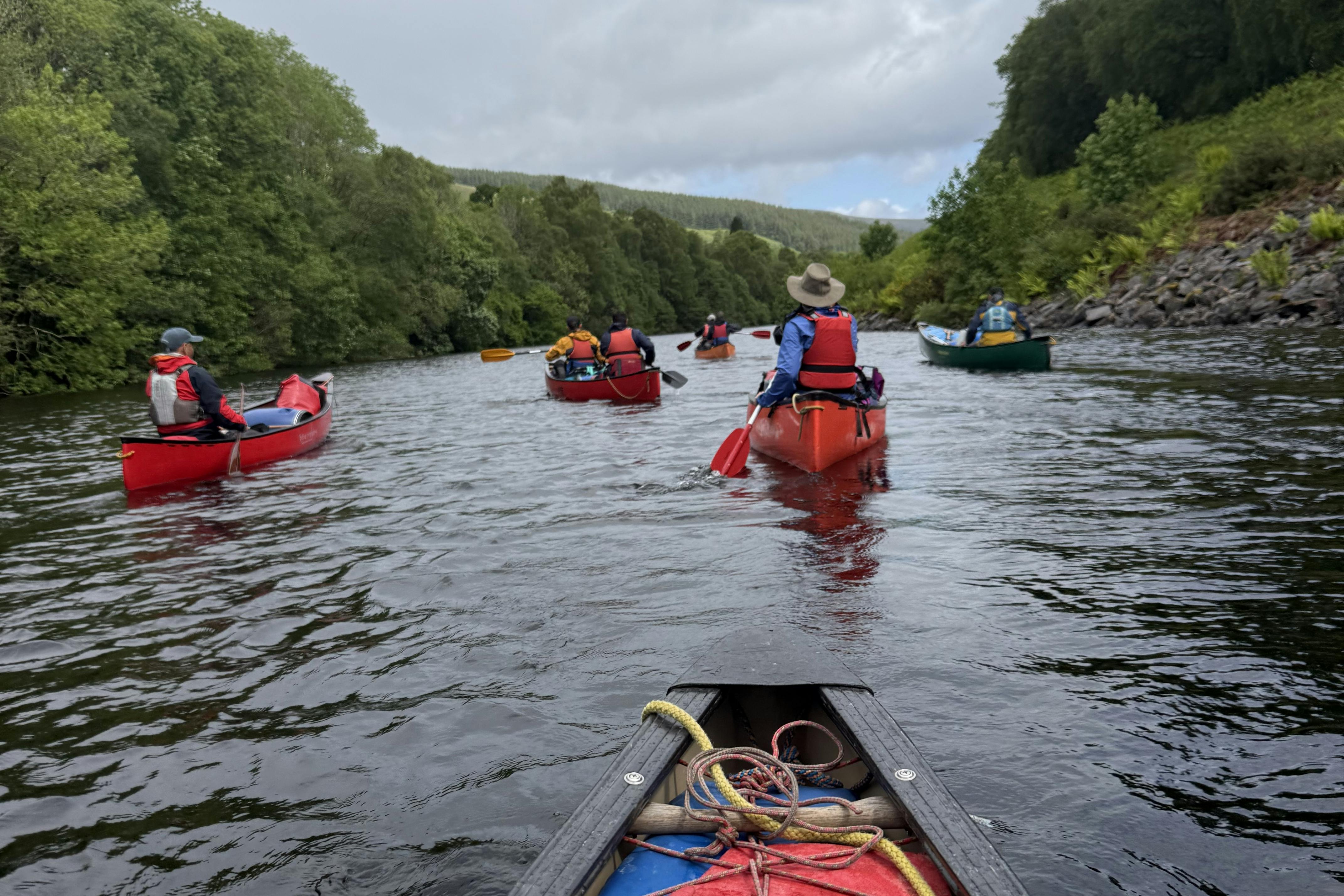 media_GKDUJQDVKNAVGLKQ