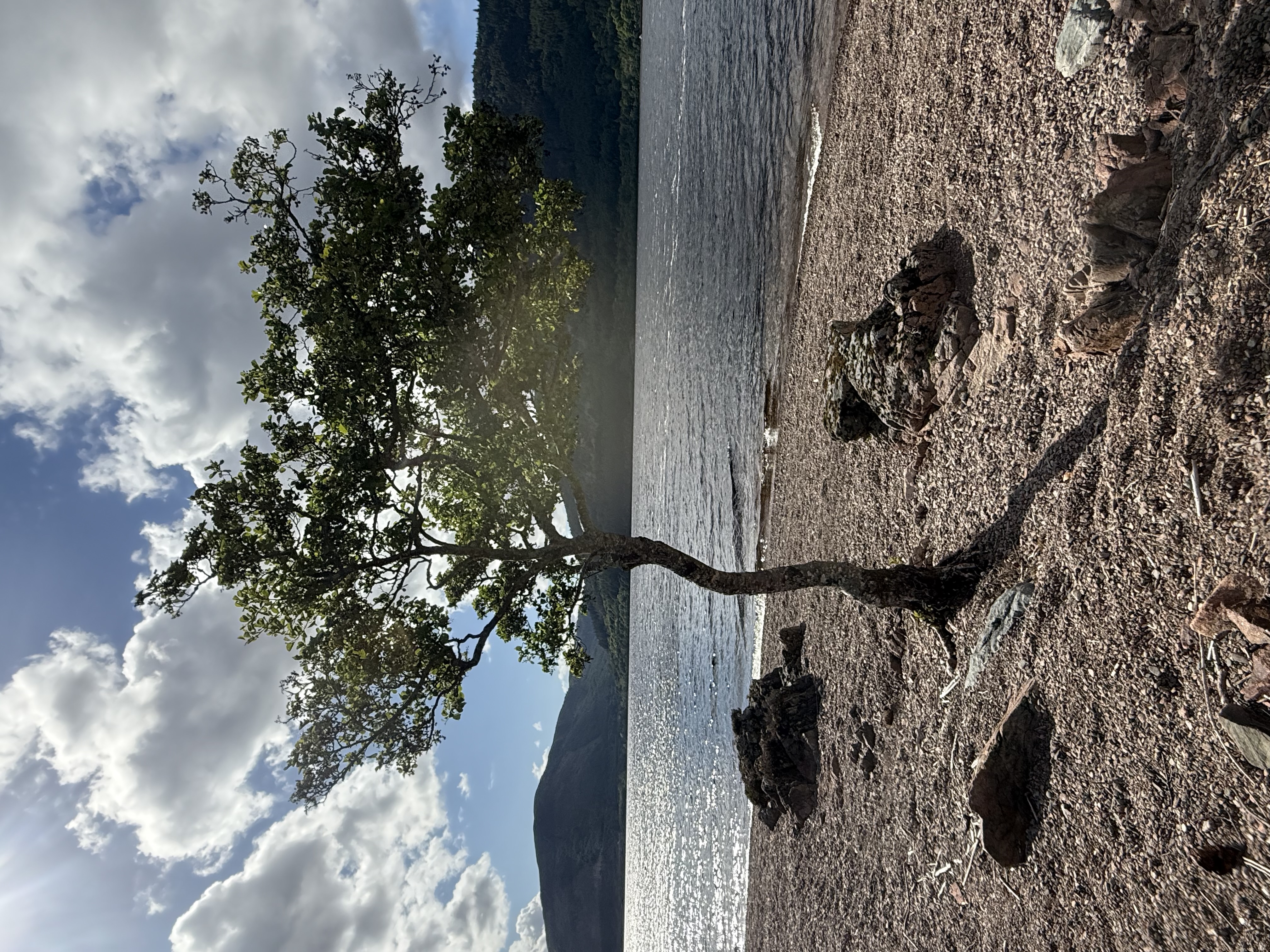 media_PSVFDUJHUE6X47T7