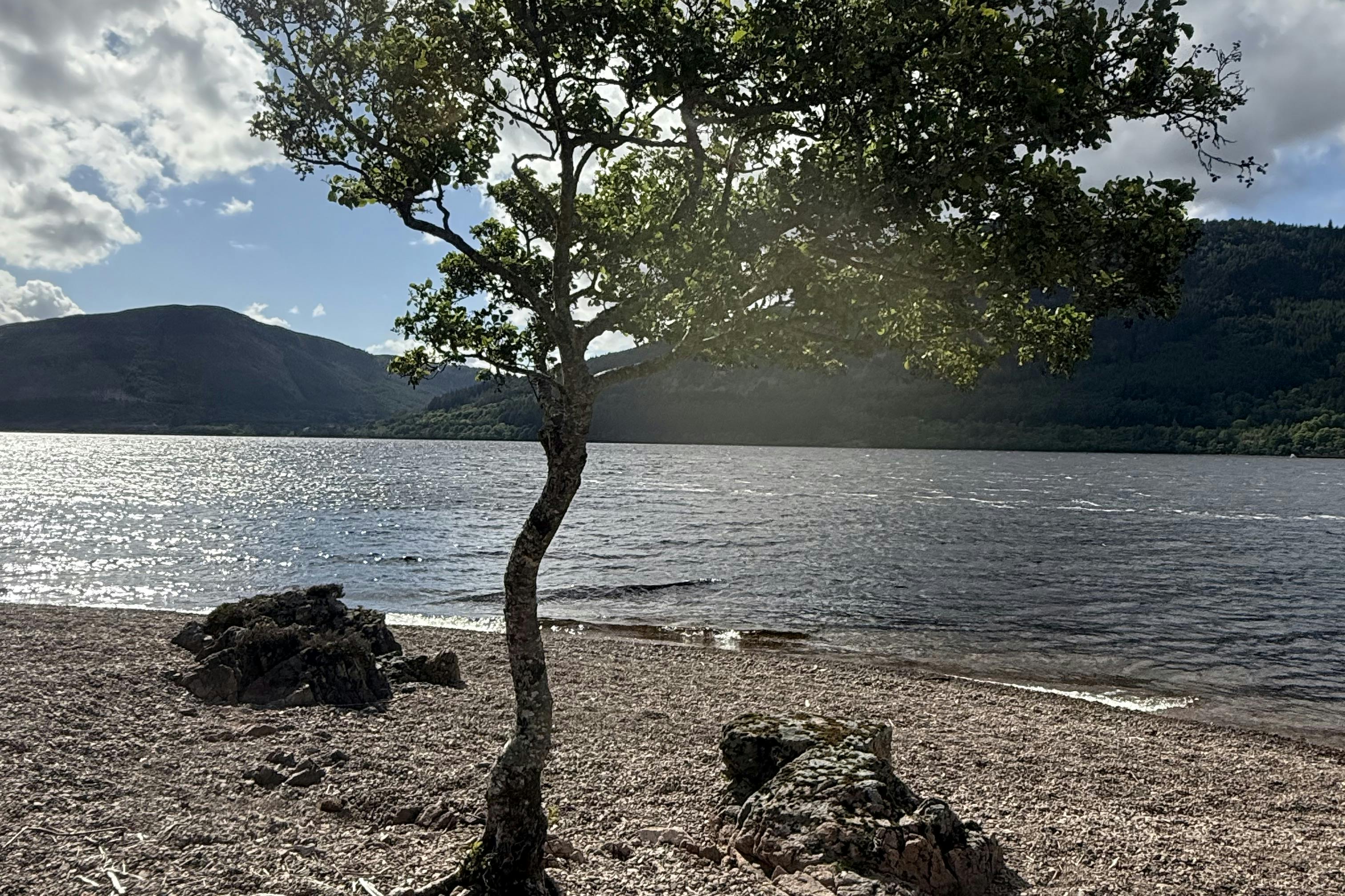 media_PSVFDUJHUE6X47T7