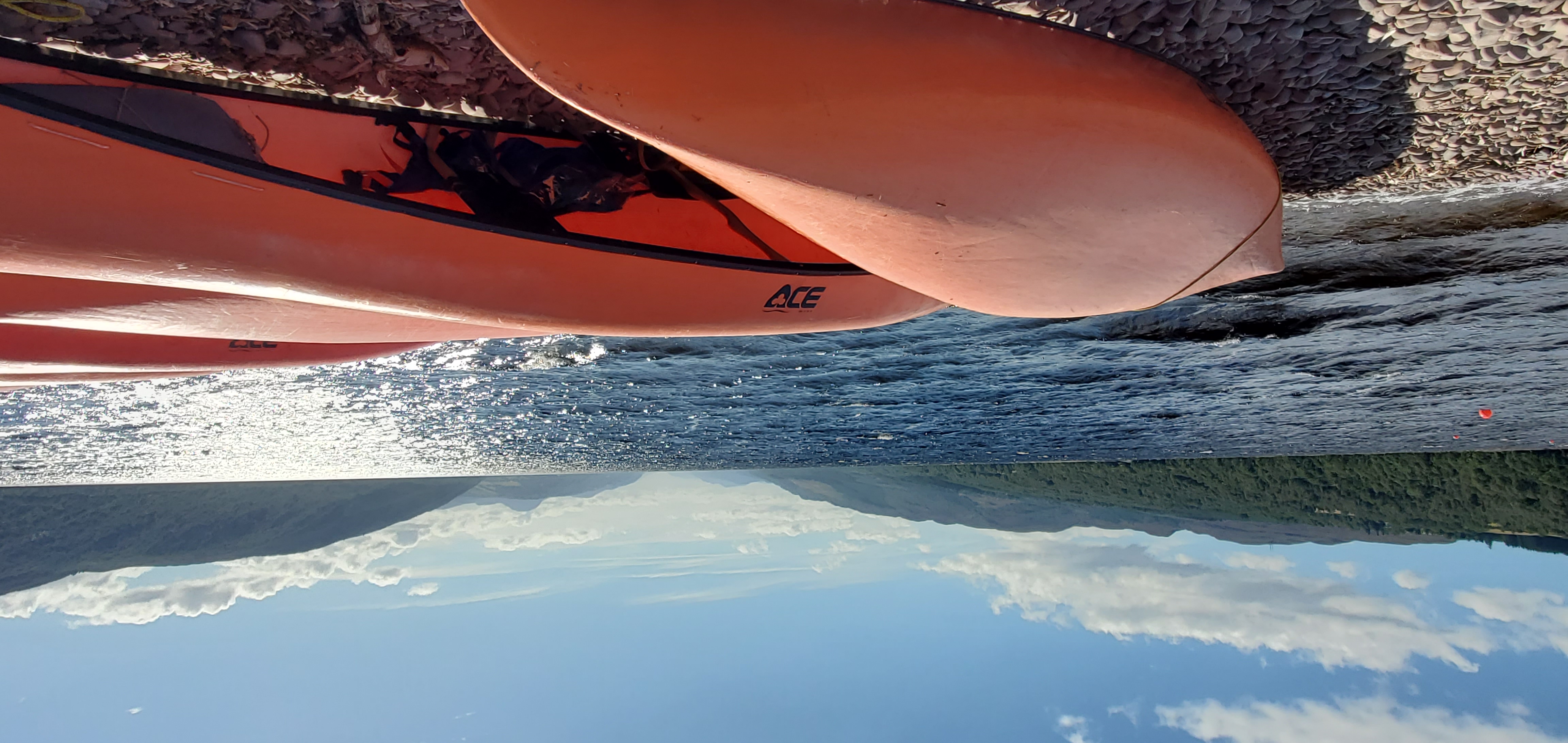 media_66Y23PFEXUA5G4CY