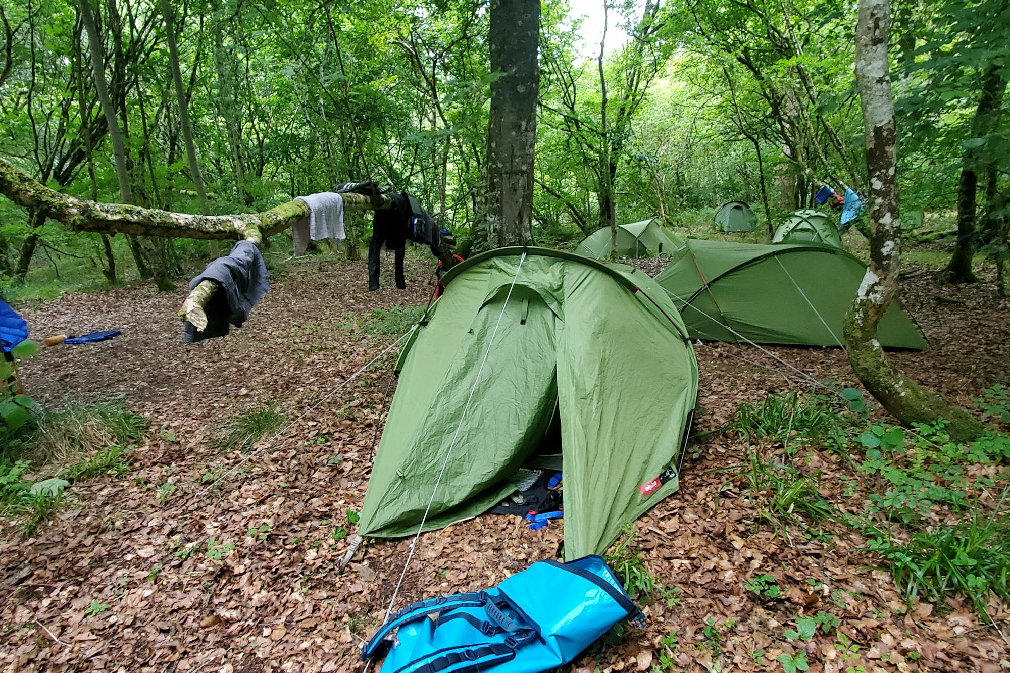 media_CXSVLKC3H89N9QCD