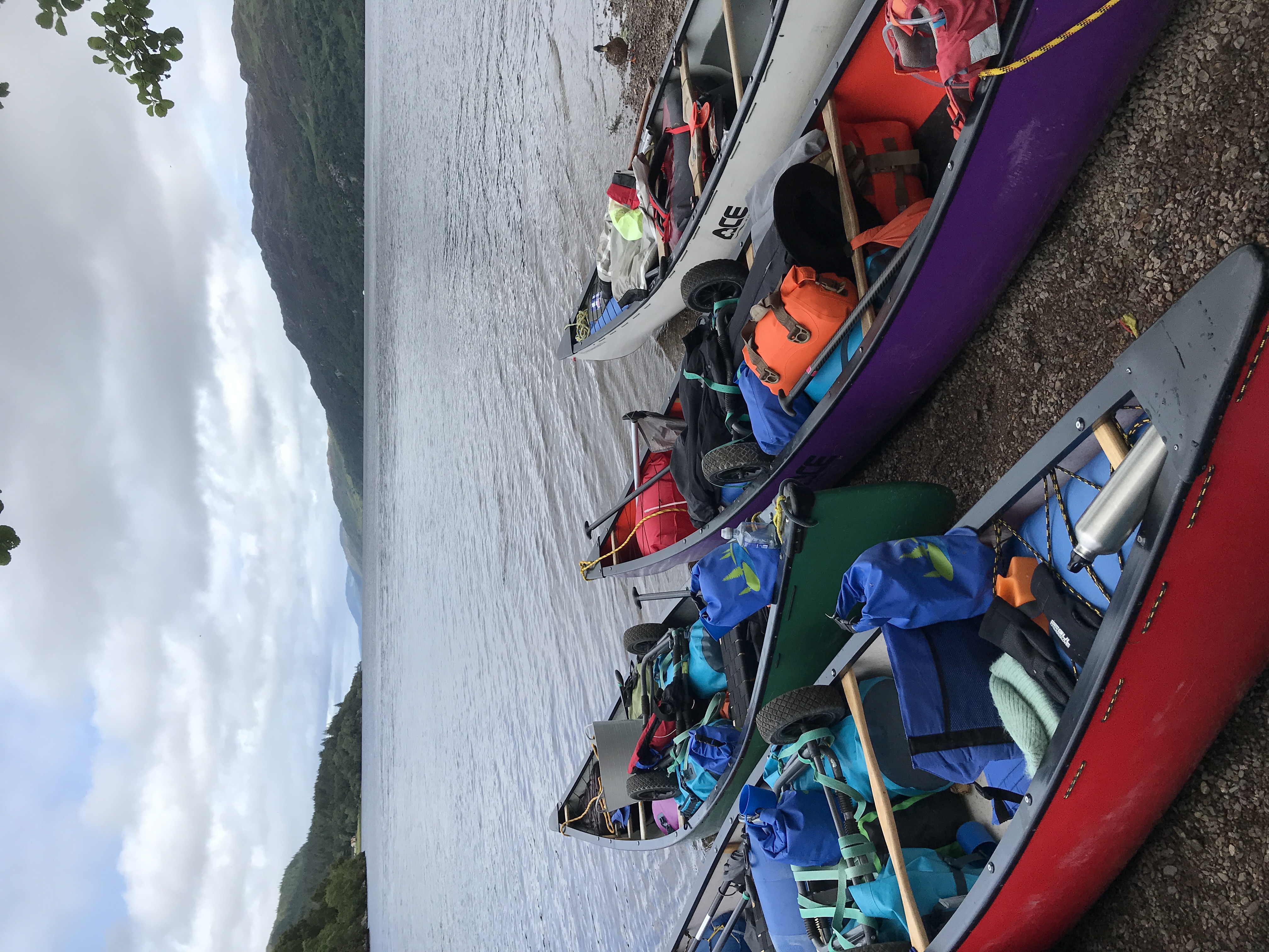 media_42XKZYW3CU65K2SP