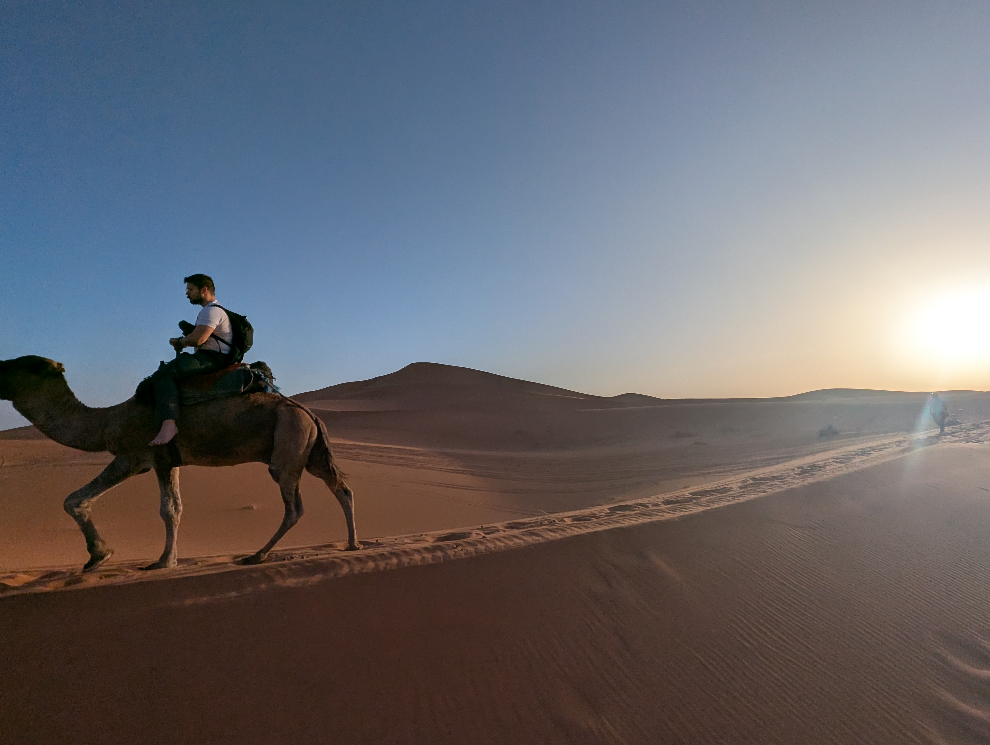 media_DAJWZZHHW8PDPS8P