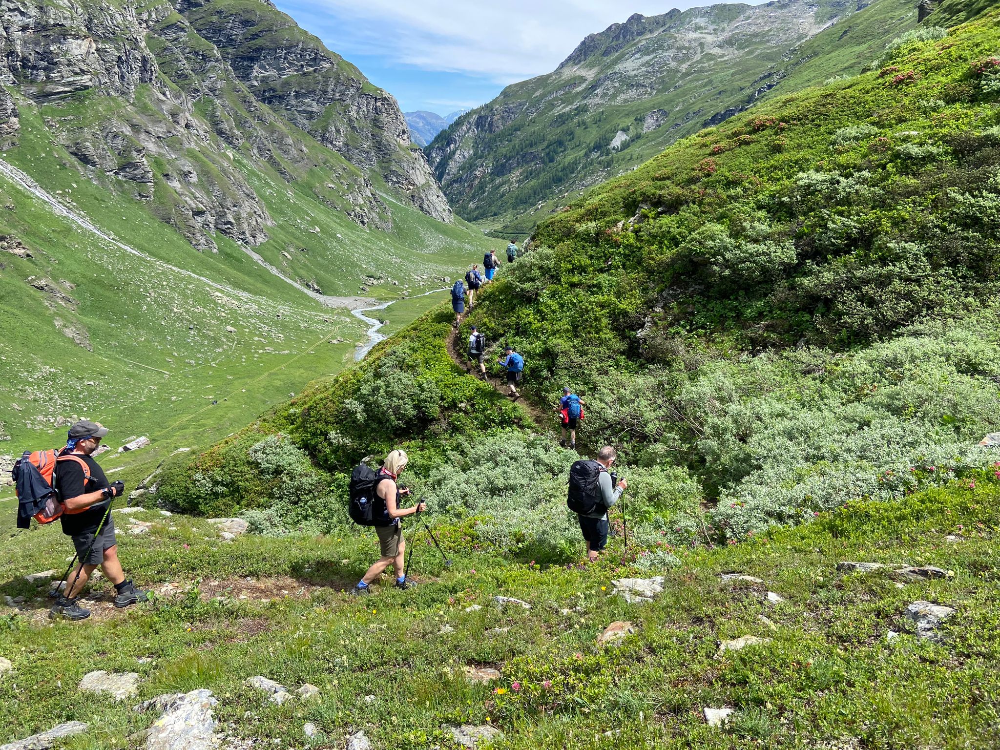 media_ADZ4U4YQRC2JANWJ