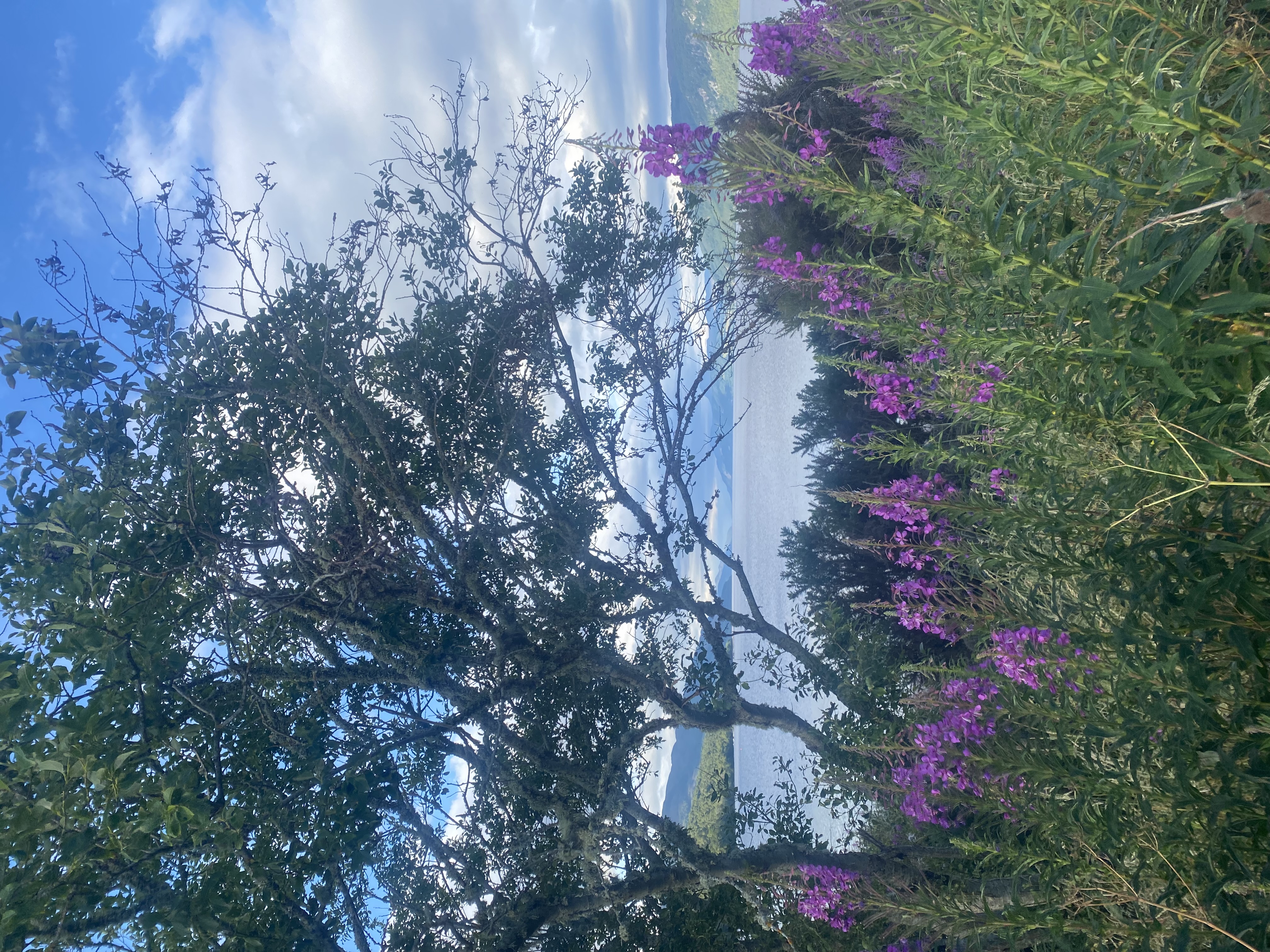 media_PH7UEJTLMN2VY22V