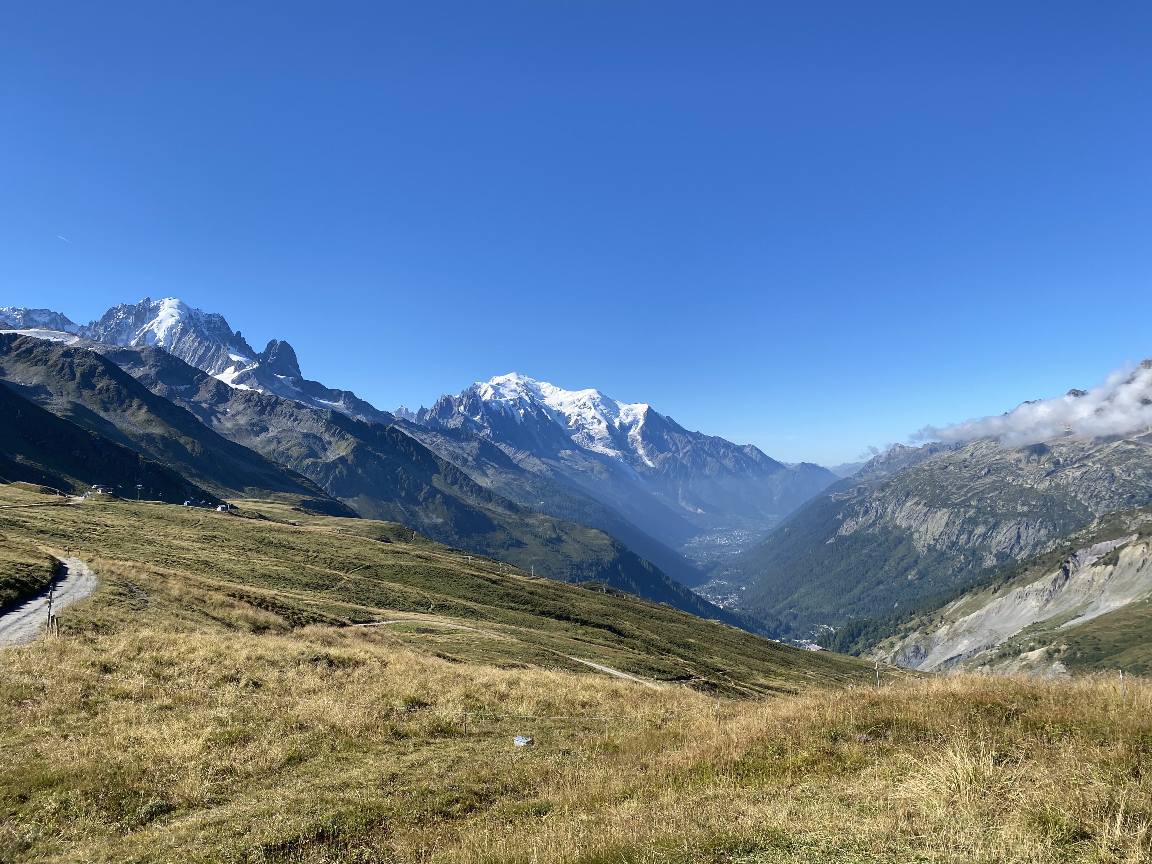 media_ZMMYAEPGQ53K4V6Q