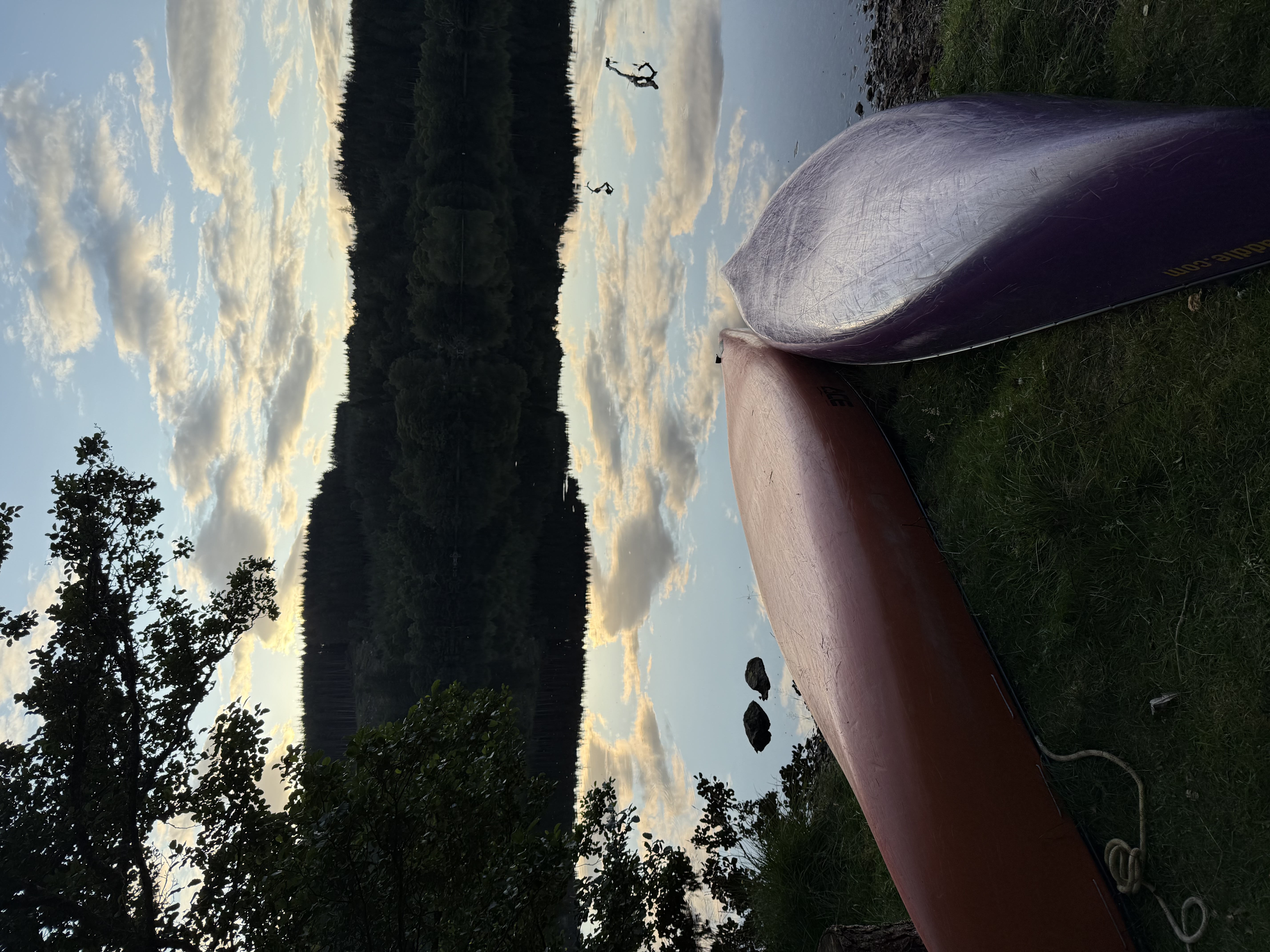 media_32HCSQYEDMPHWBCP