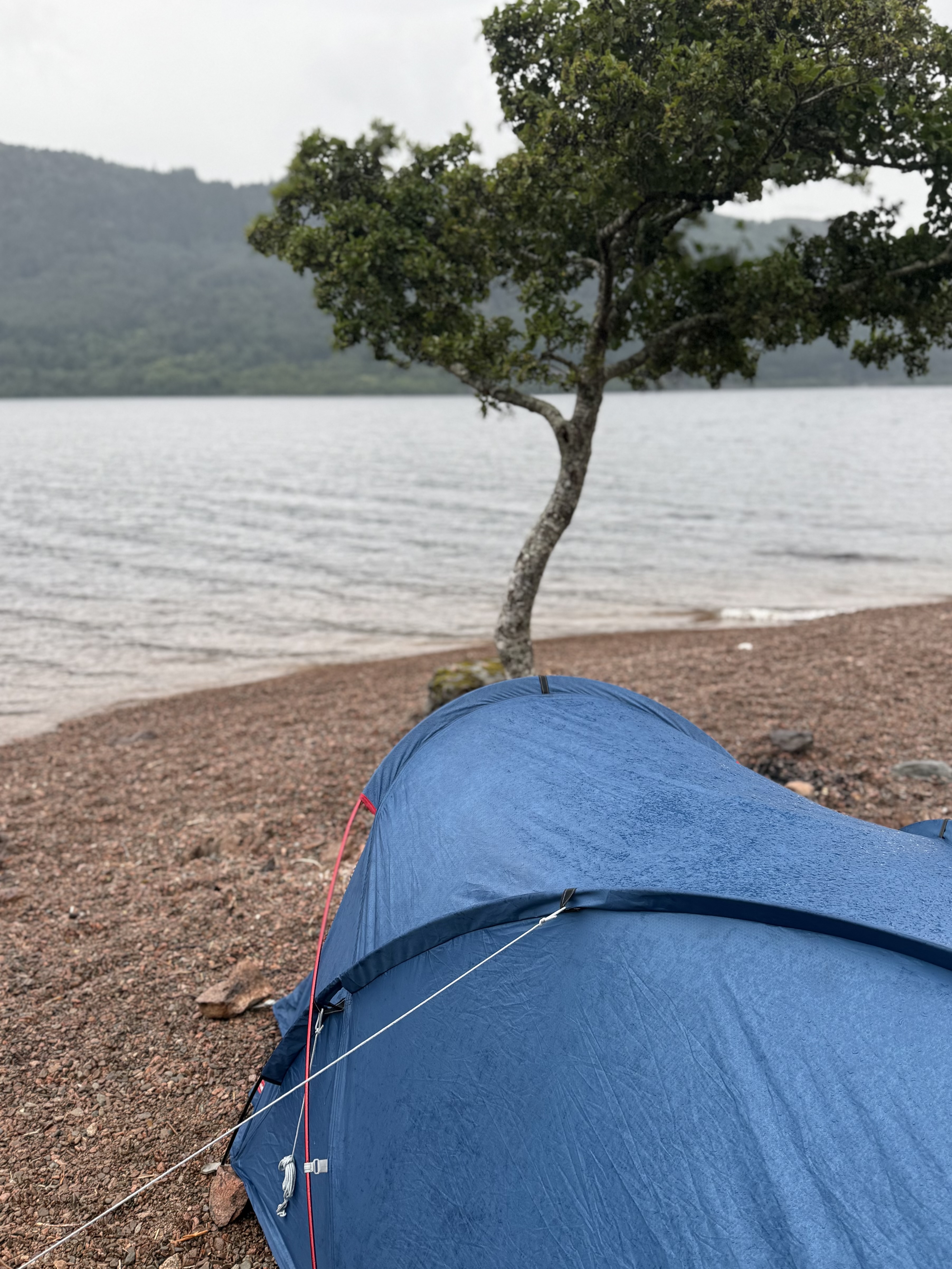 media_HHP9NH9B6DZXNAQQ