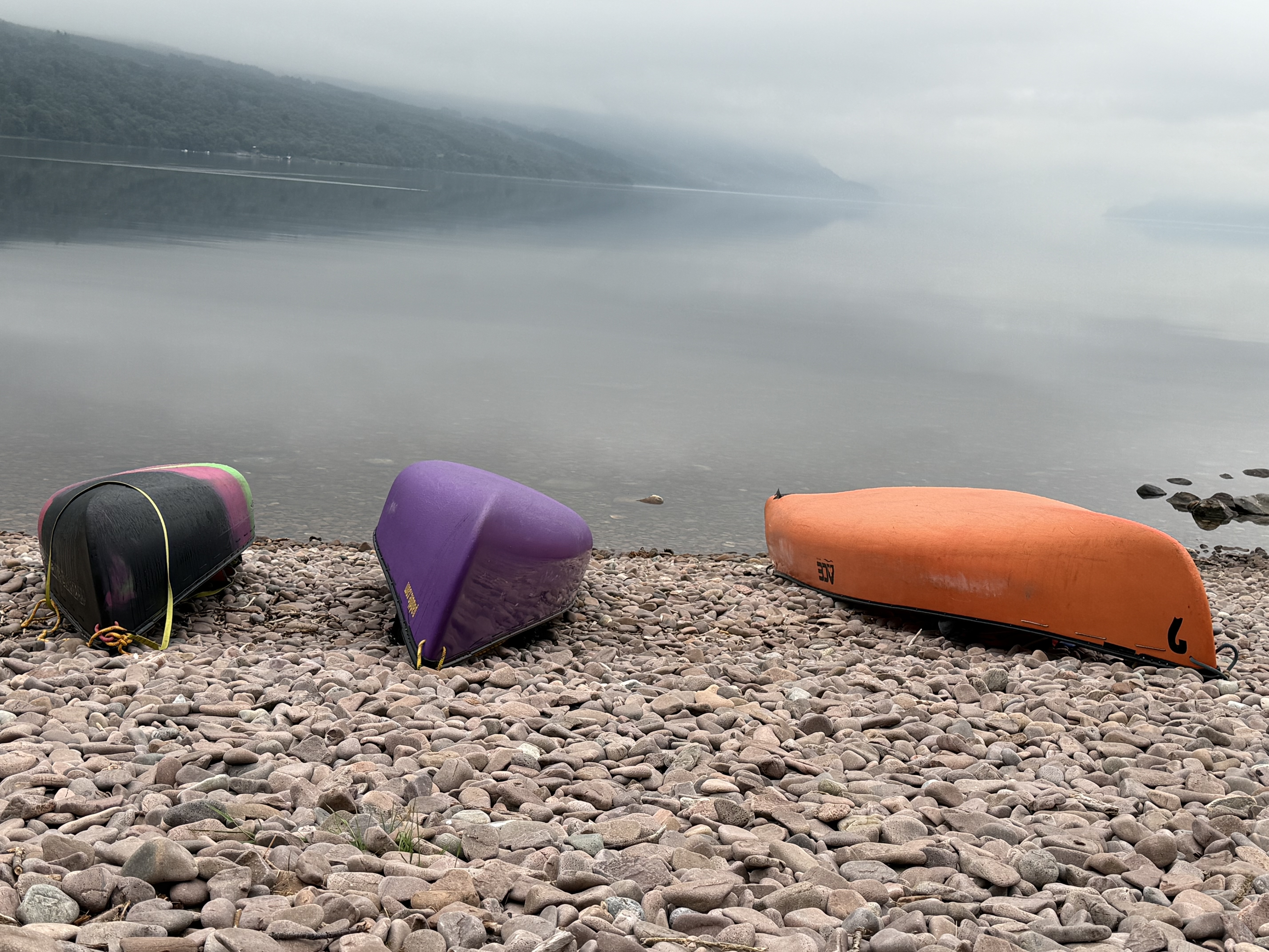 media_T8Z4S9M8QAZ468NJ