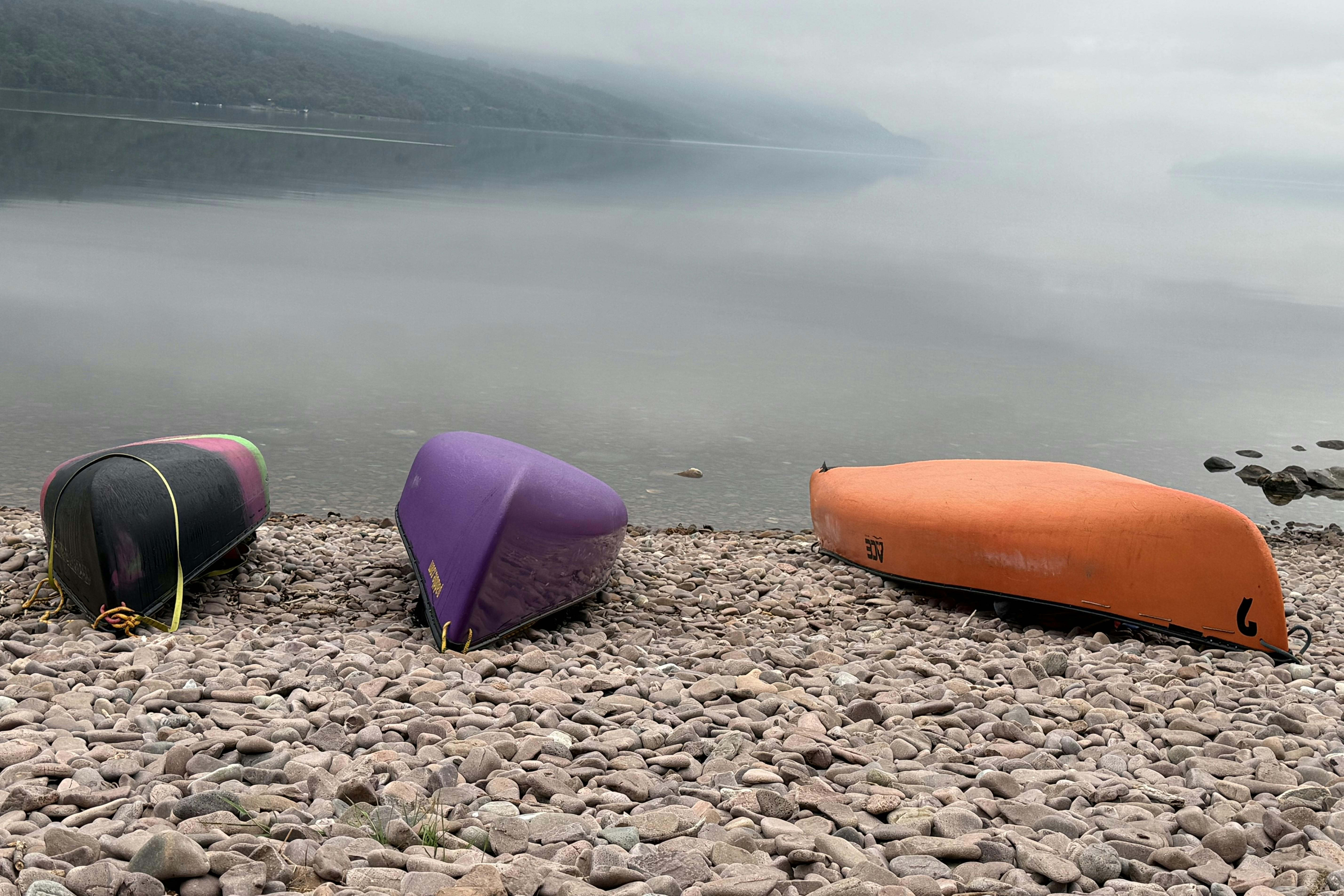 media_T8Z4S9M8QAZ468NJ