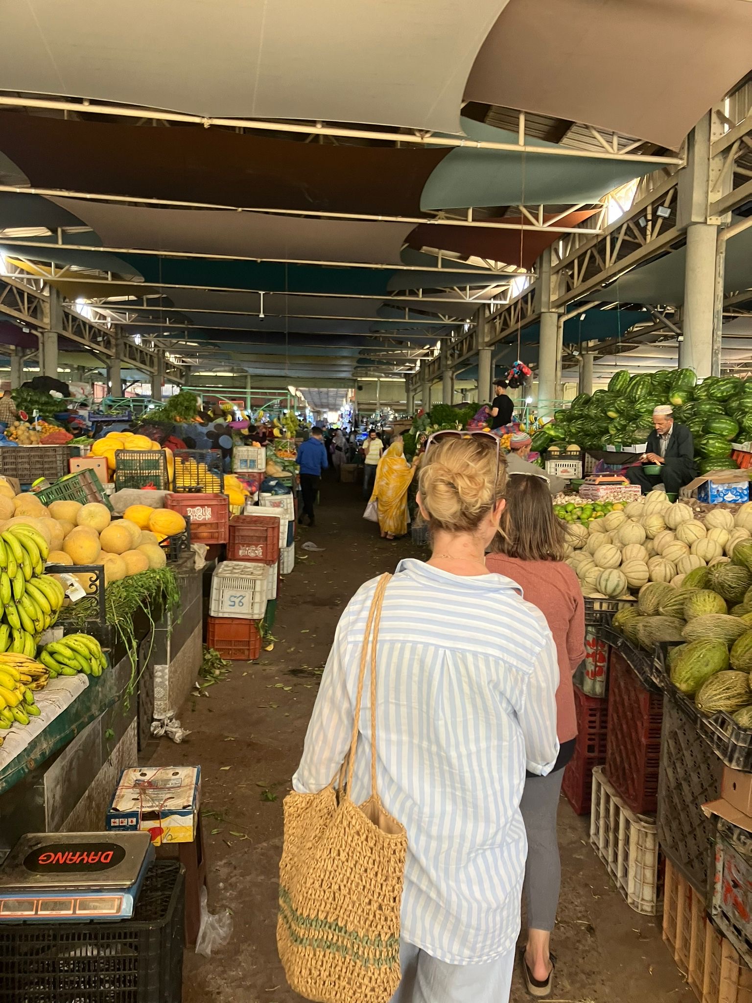 media_FRDGTNVRBDY9GV3B