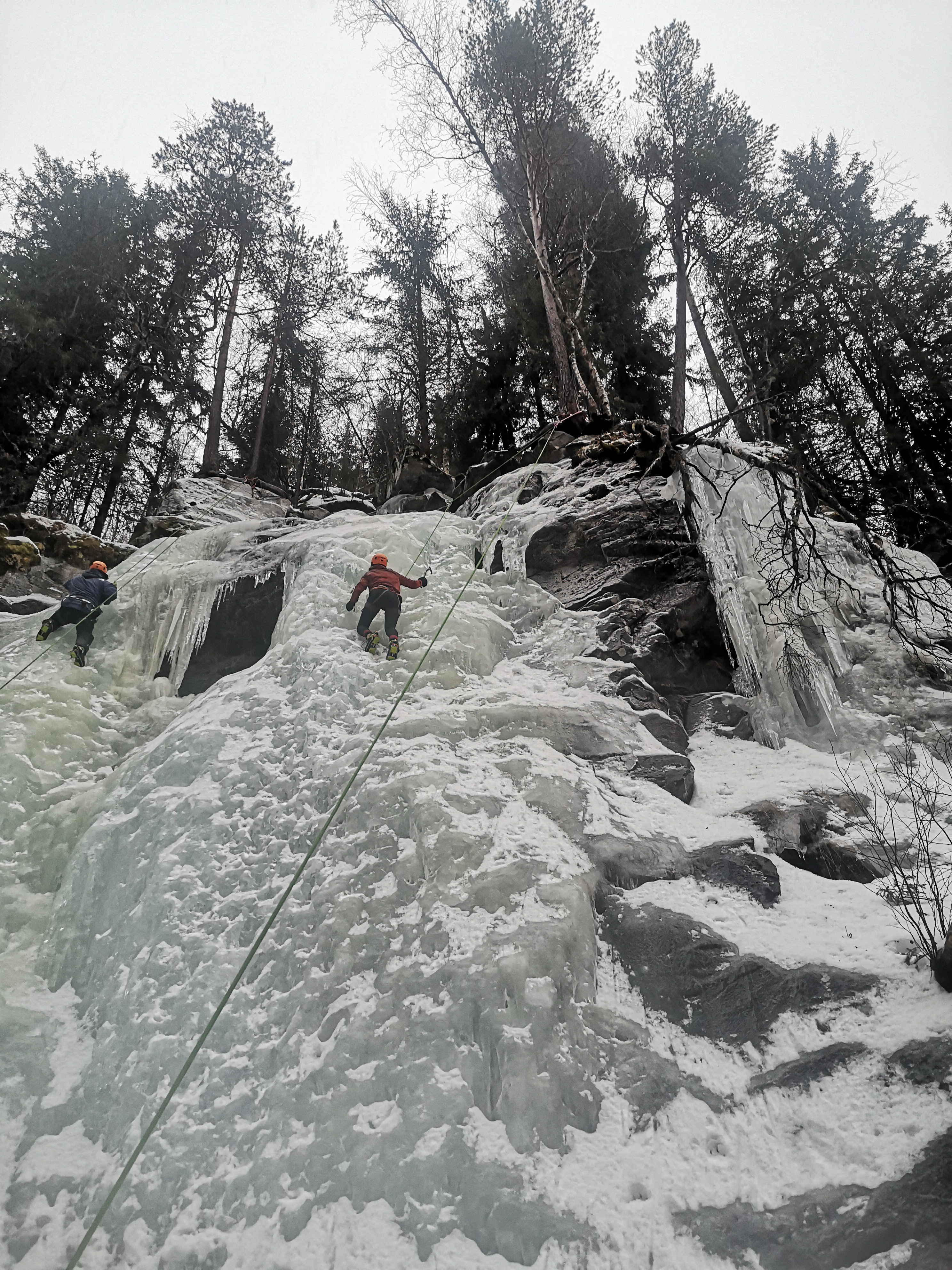 media_42PL39Y2NJ4EEKTB