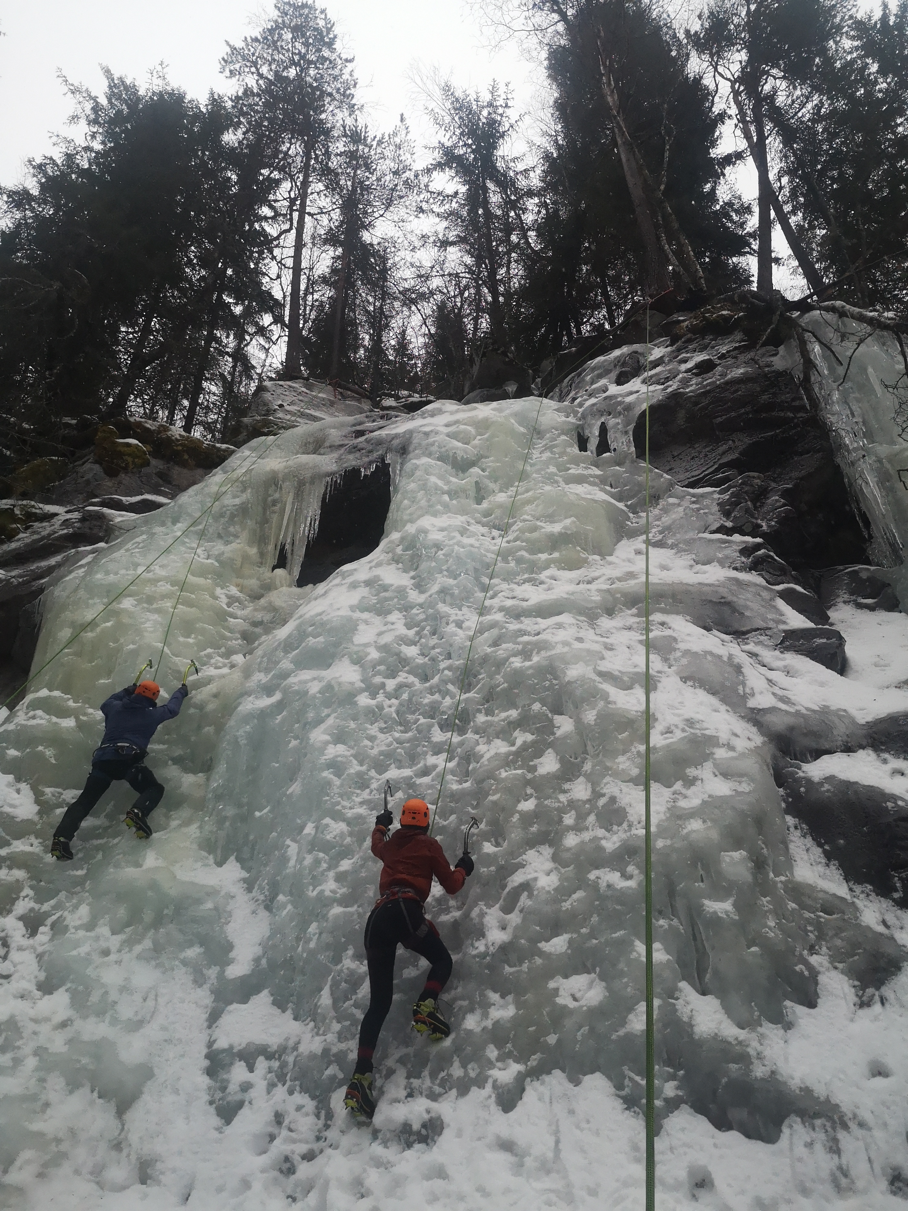 media_CH6CEDKF4NTU43FV