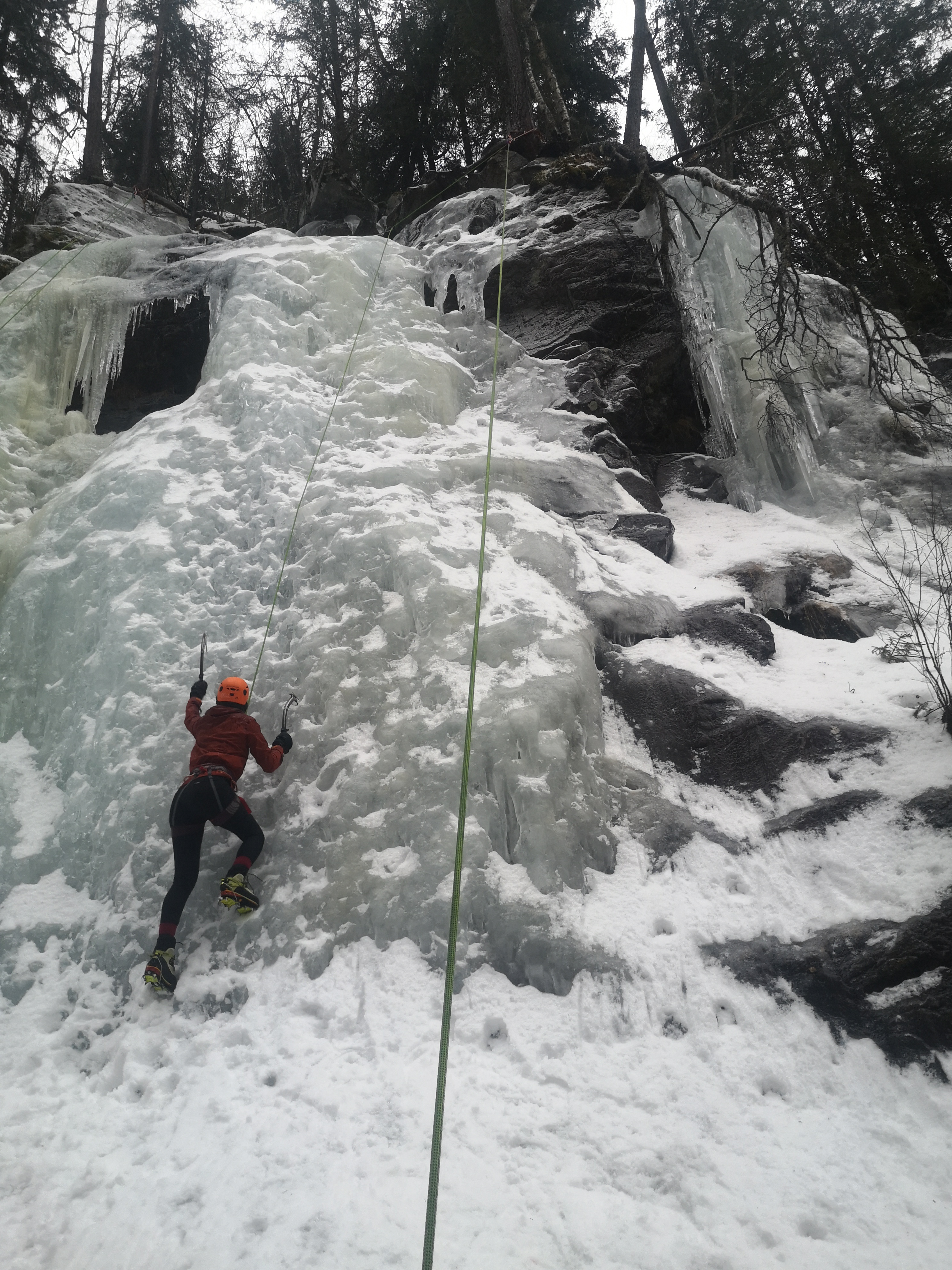 media_CJCB2DYYB86Q3ZZW