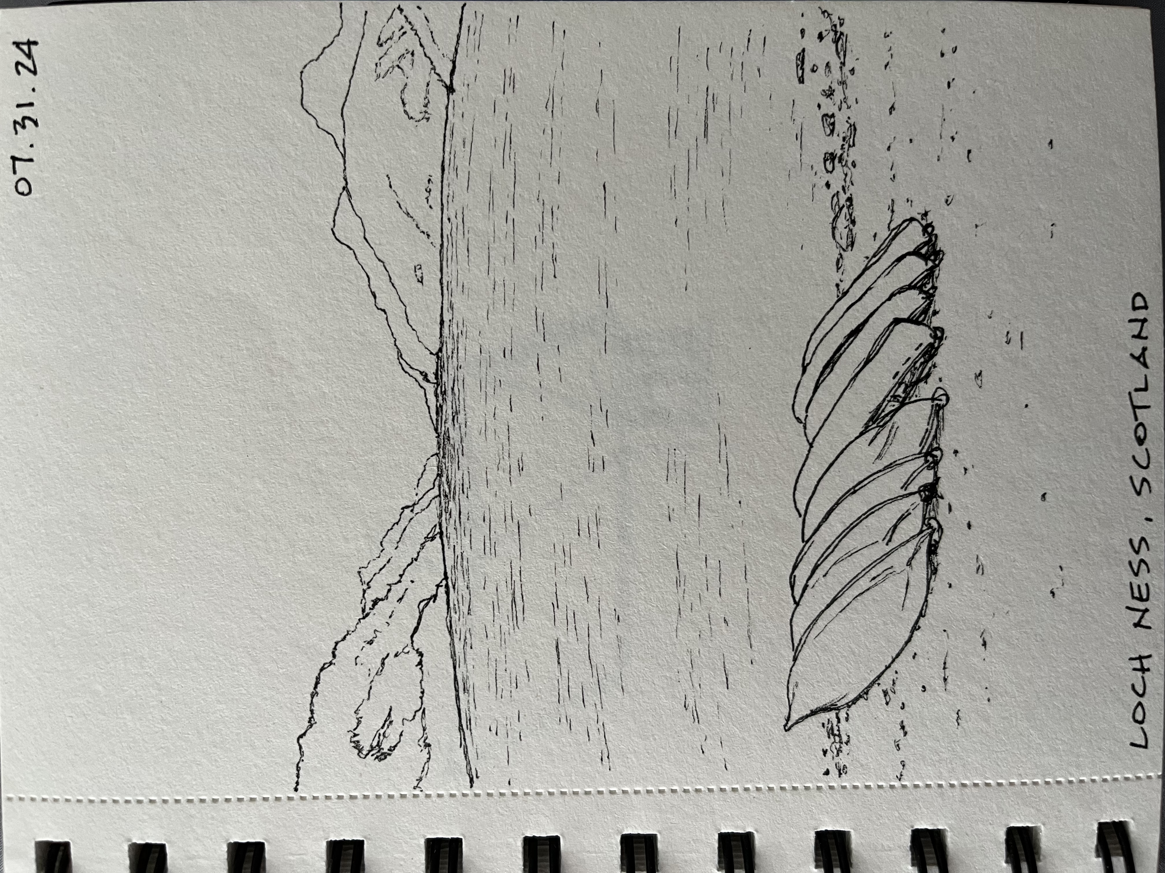 media_KM8MB6GUYBBJR45E