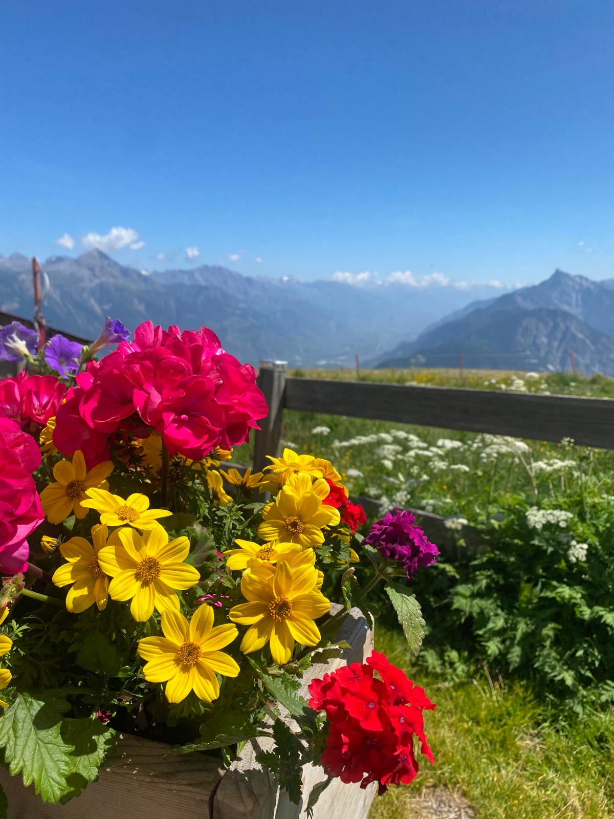 media_24TZYH87CJLK2ZW5