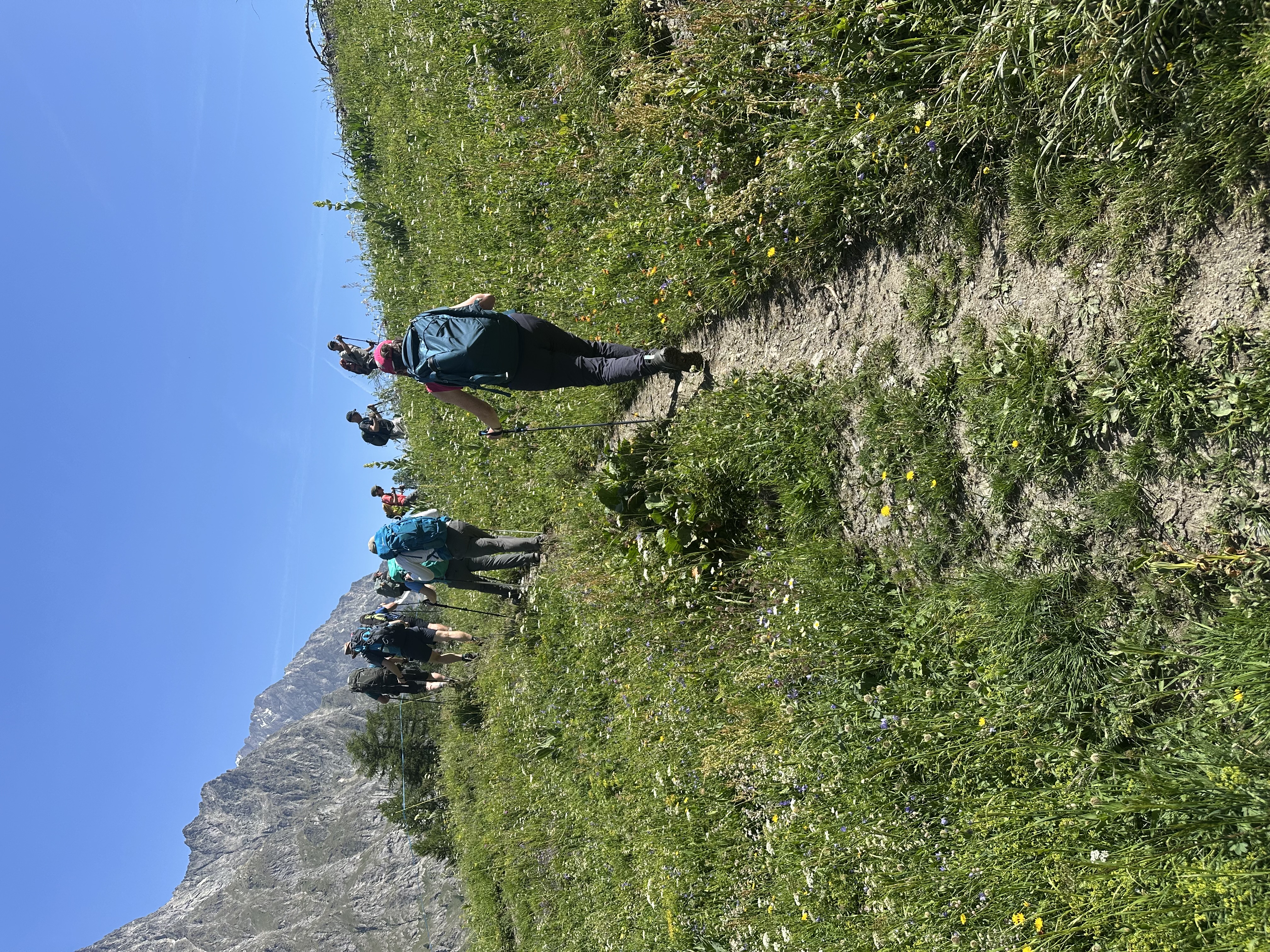 media_QTKHJ944Y74SK3E6