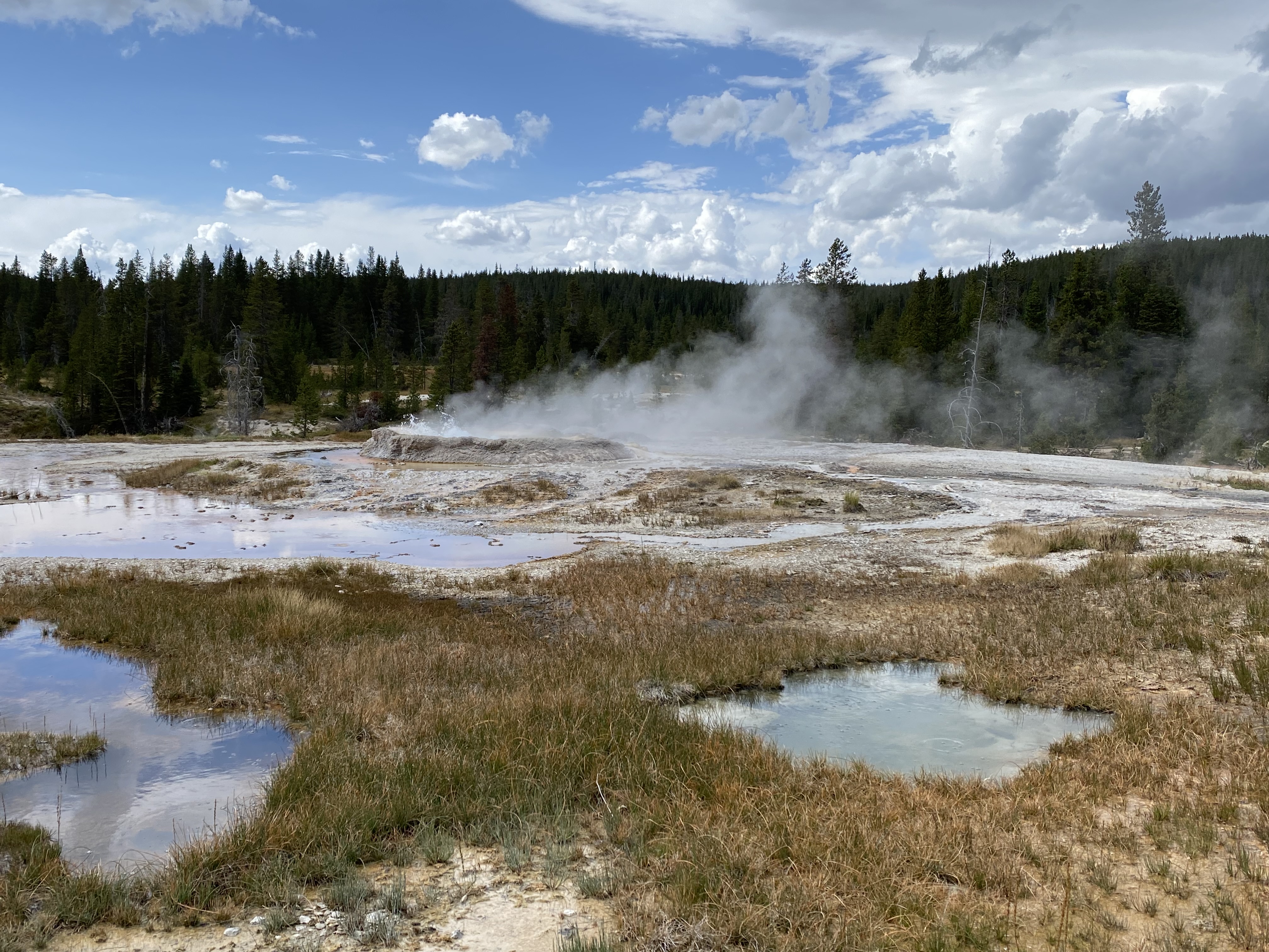 media_6NDTDR5MMTRT7HPQ