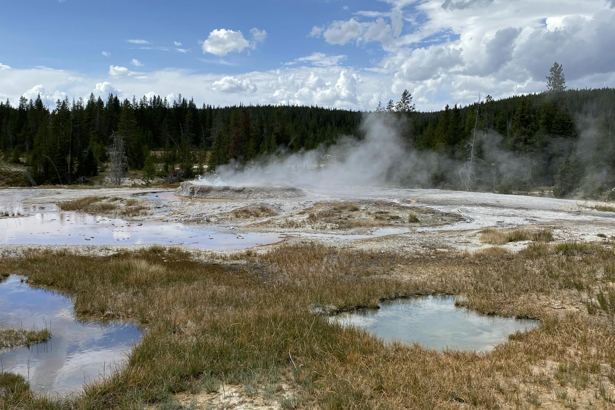 media_6NDTDR5MMTRT7HPQ