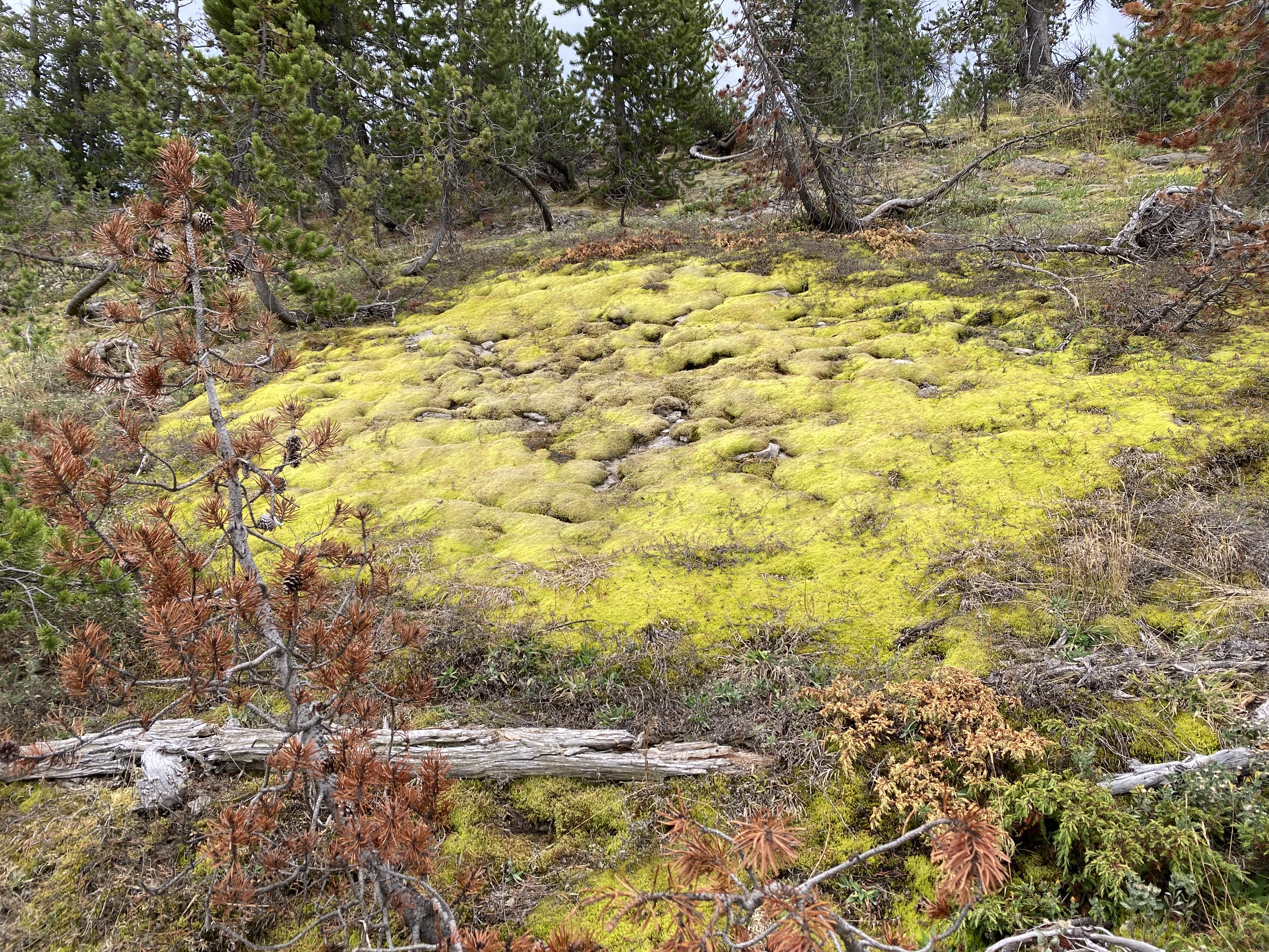 media_NYYF7LYSEX9B57AE