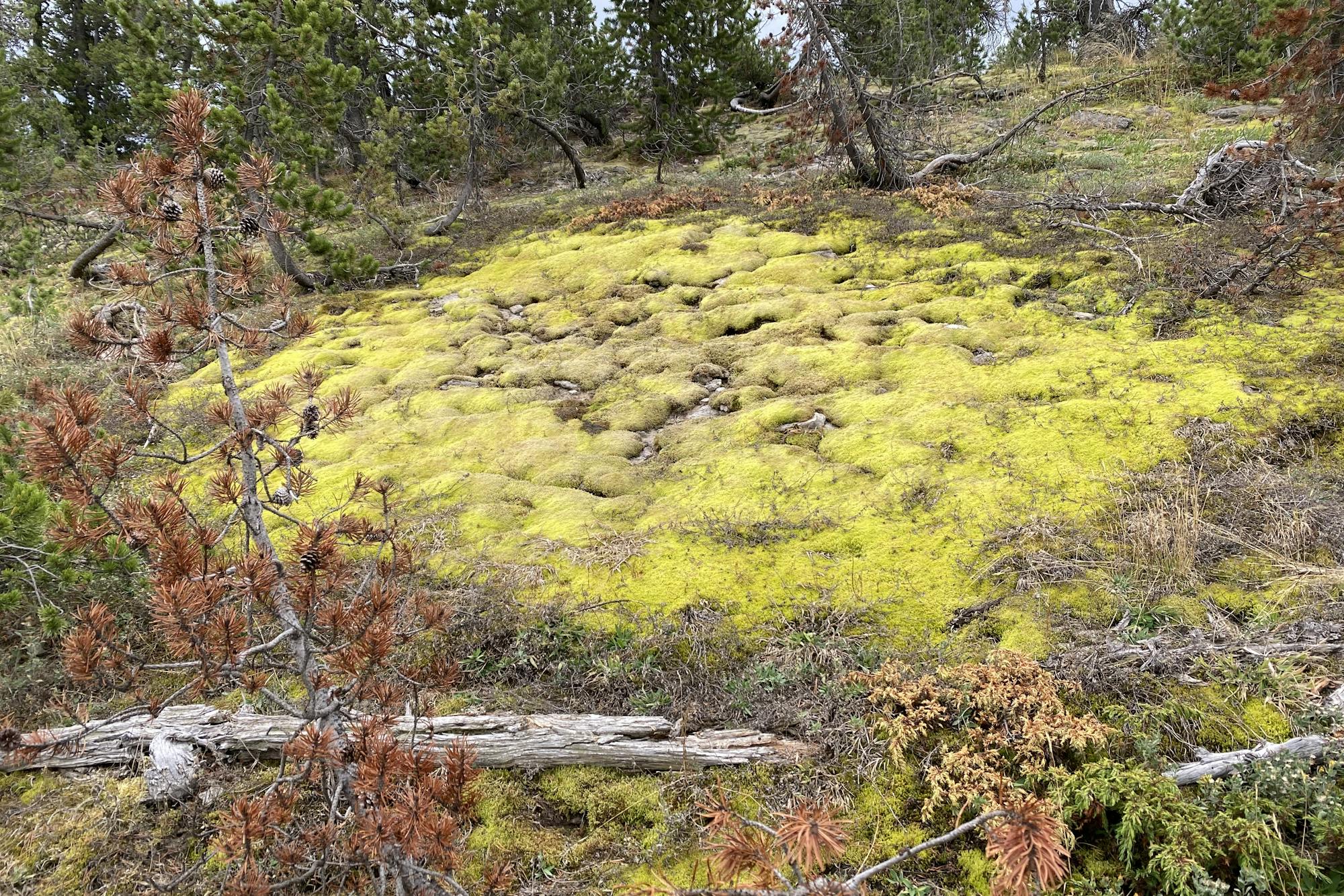 media_NYYF7LYSEX9B57AE