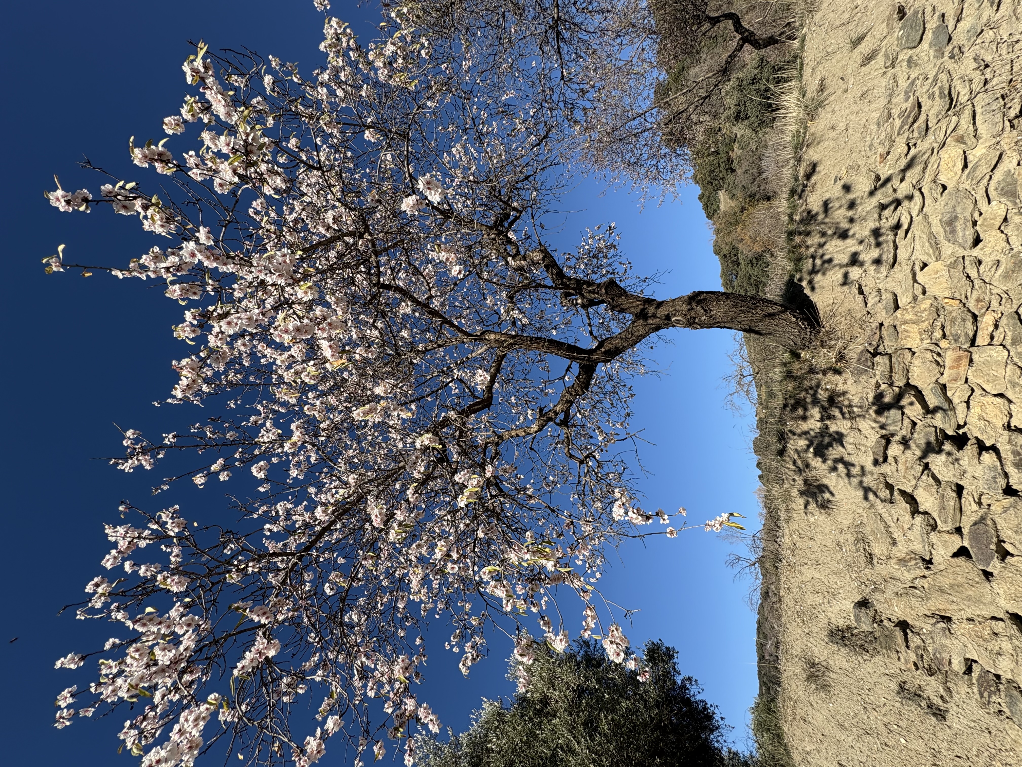 media_S7YHVAB2AXG4UL4M