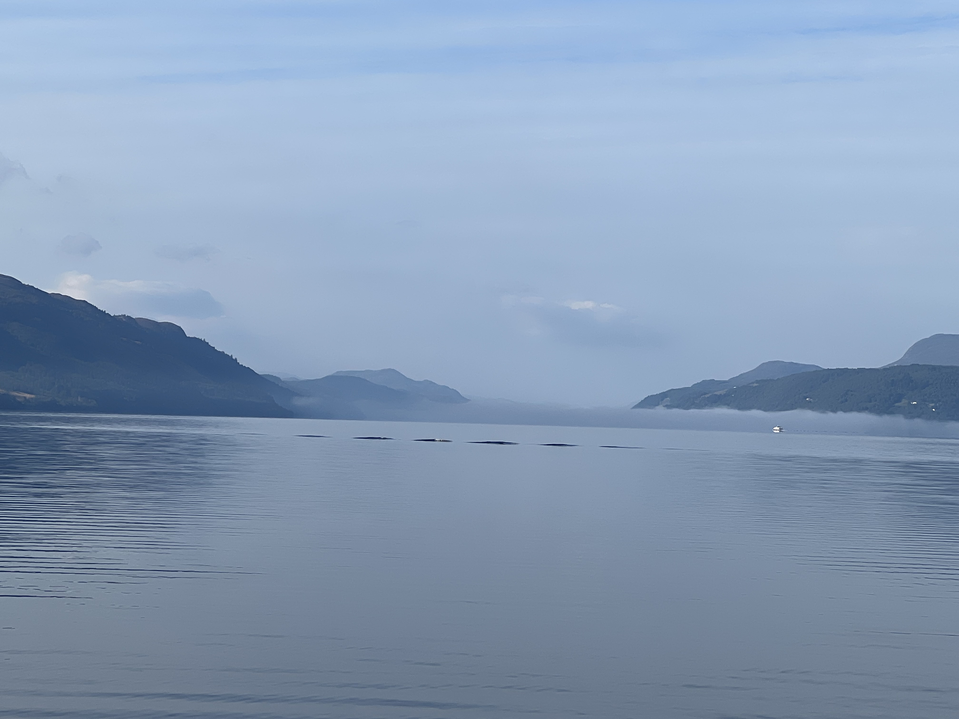 media_YVNG9VAU3AUD7HZT