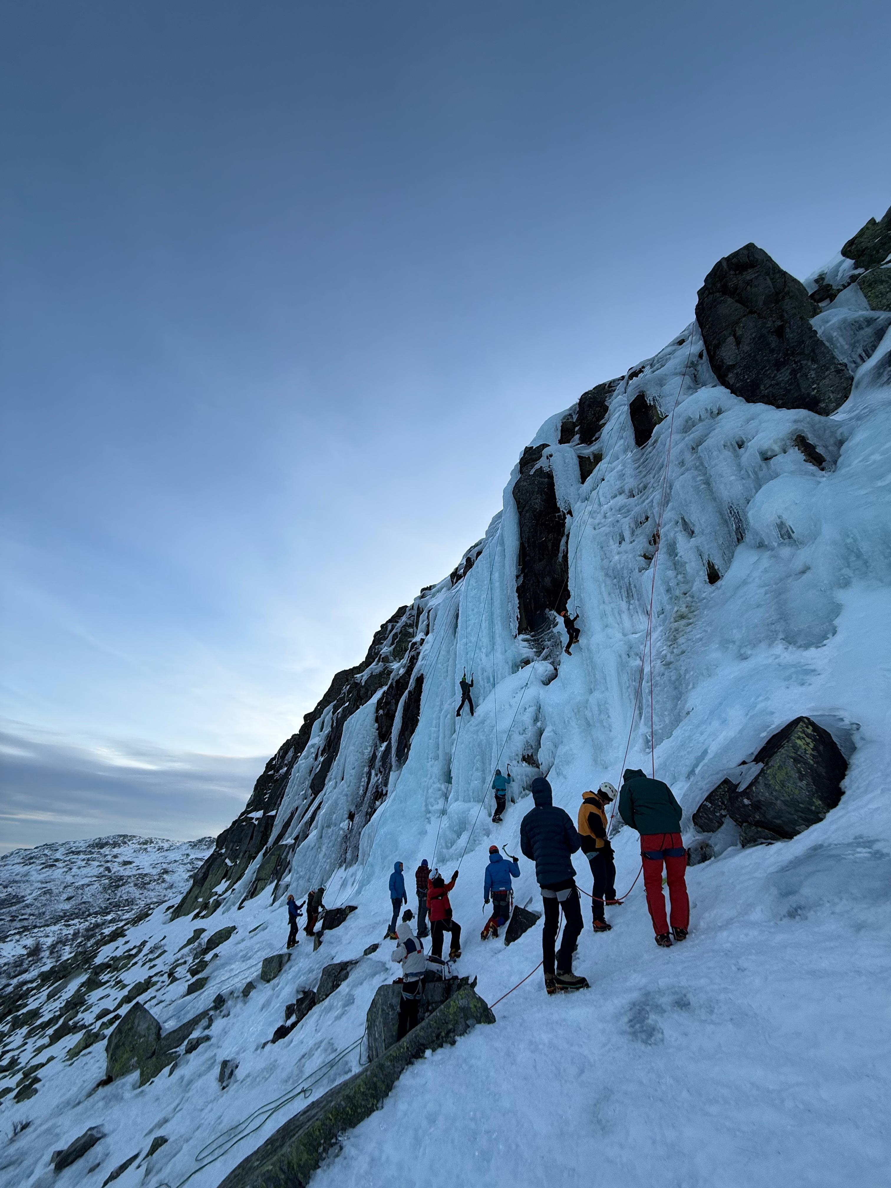 media_QF2YLEADJU2CZ93D