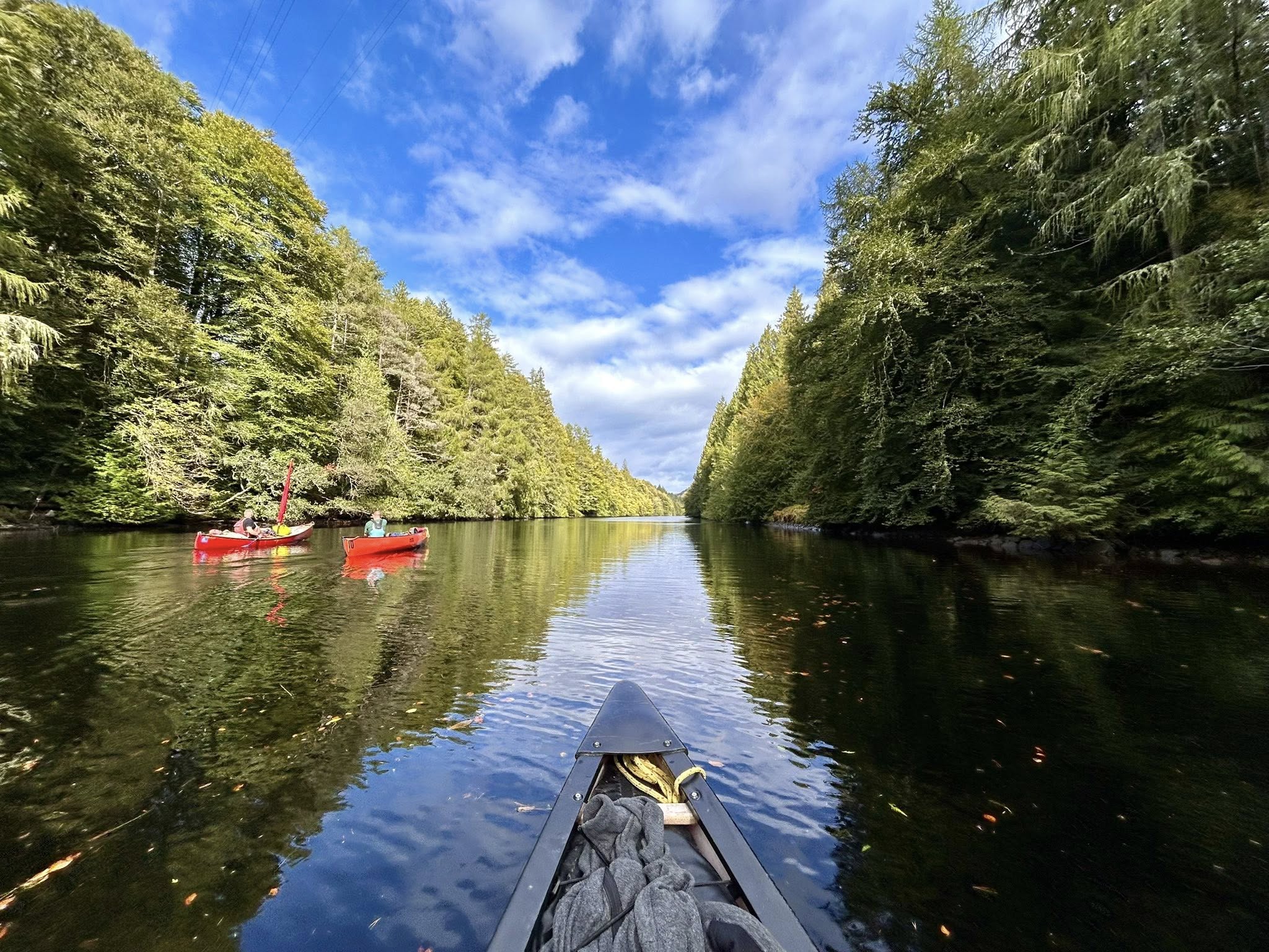 media_YH3FWN7E96MJD66F