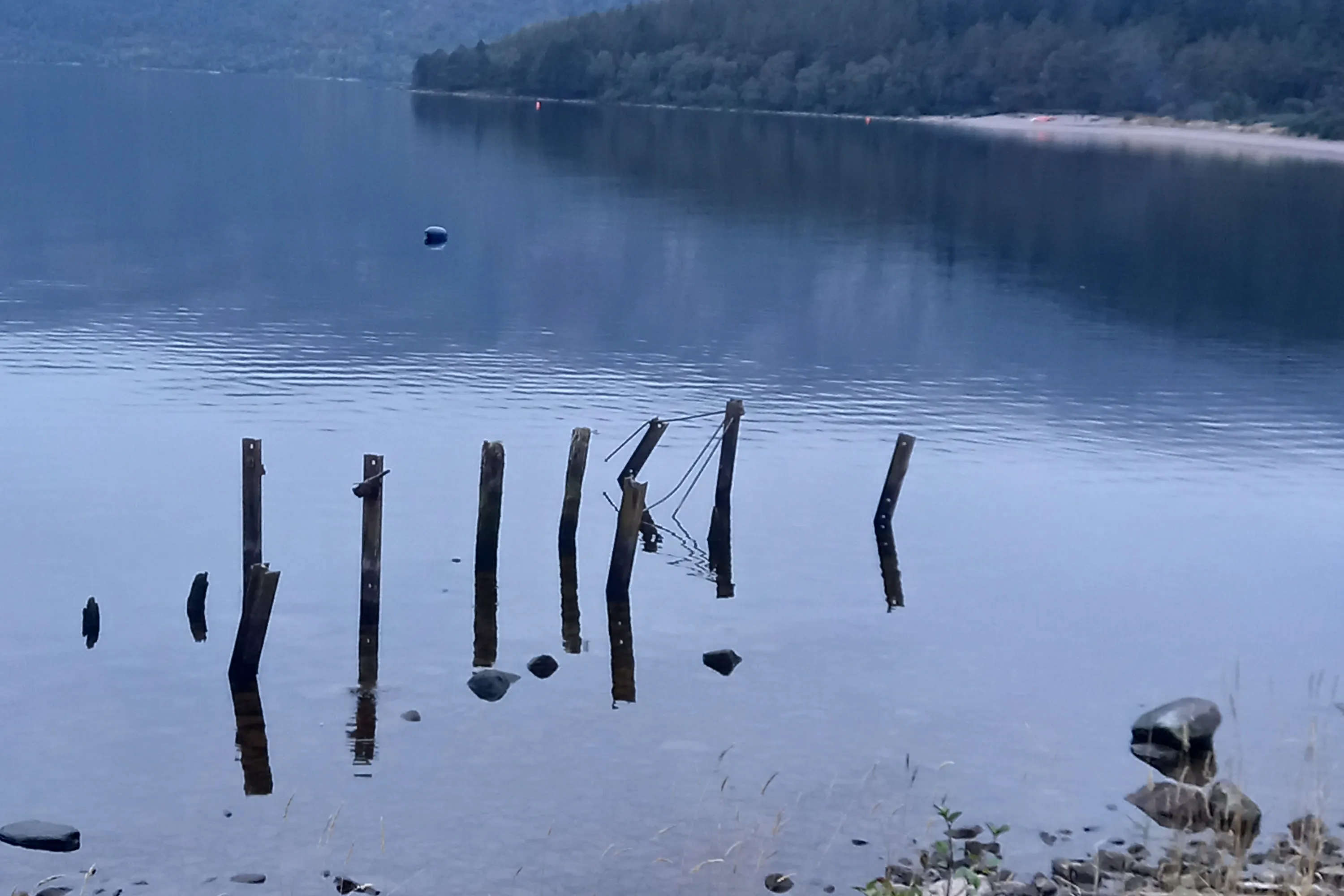 media_EE32RG4LWE6KRRPB