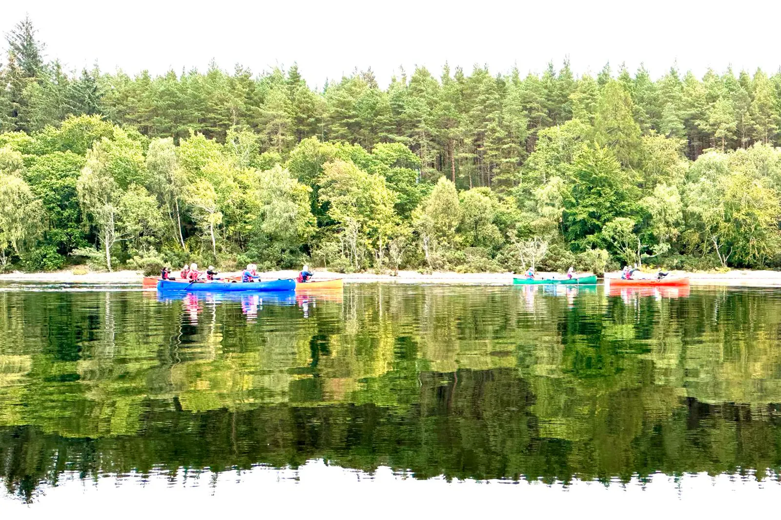 media_PXH6ANDFNN3C7QJR